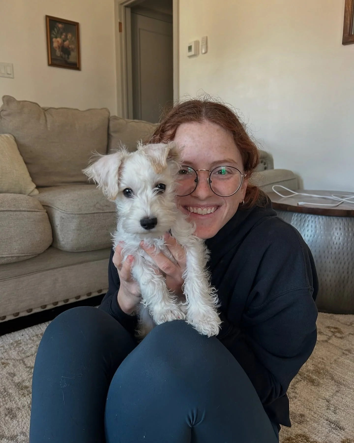 I started puppy training last week with the cutest little schnoodle you&rsquo;ll ever see! Meet Winston!