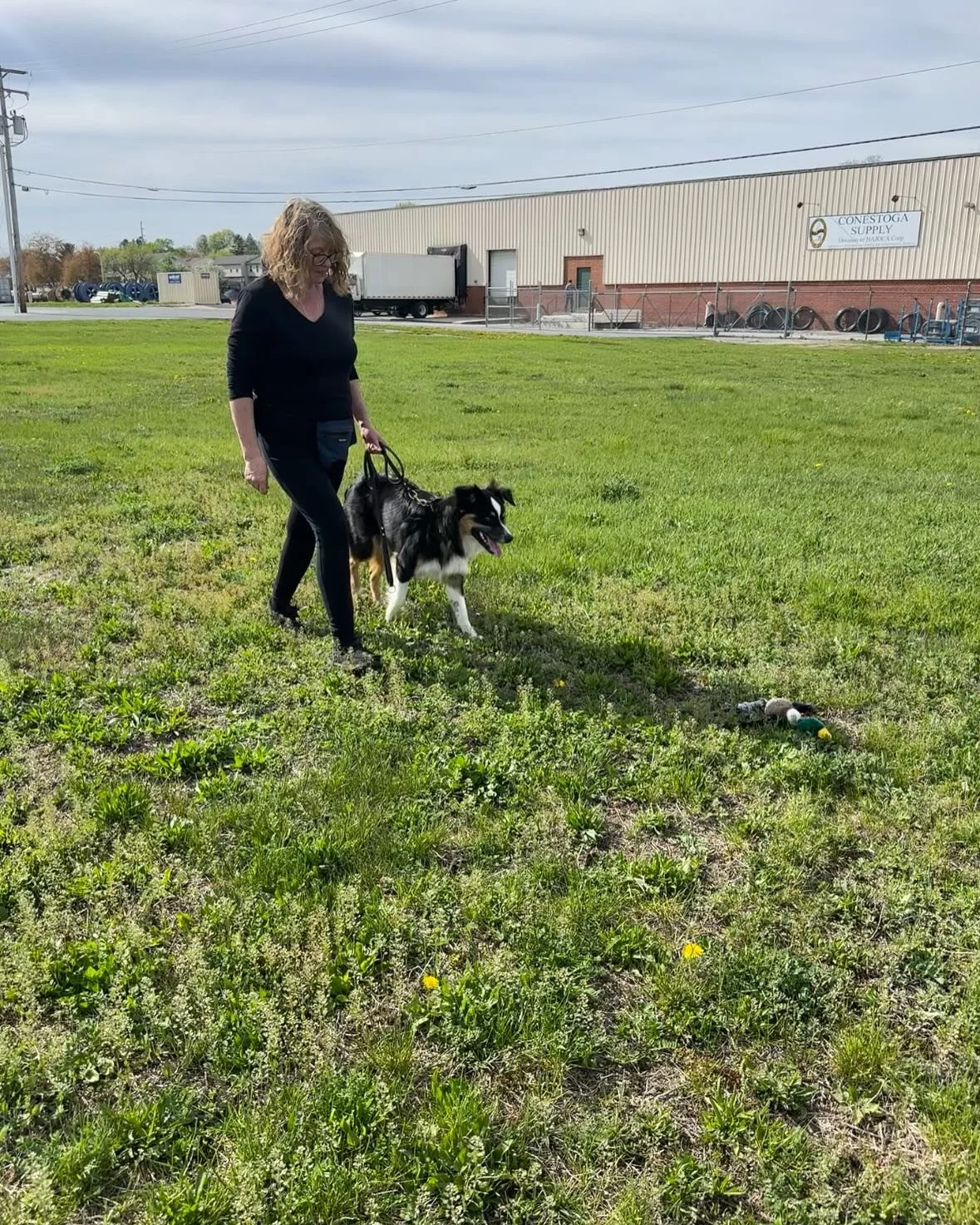 Check Finn out!! 

We have recently been working on our loose leash walking so that his attention is brought onto his mom instead of pulling her around!! 

He has also been doing amazing with his leave it, and we added in his favorite toy to practice