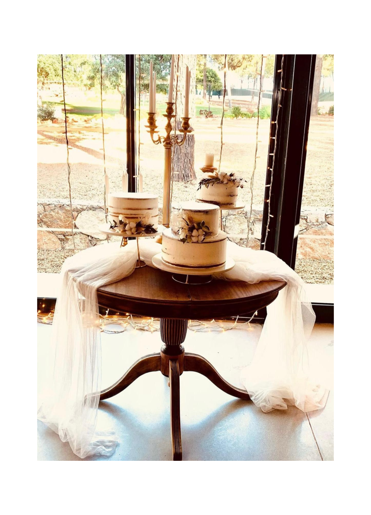 FALTA SEGUNDA FOTO (1).png