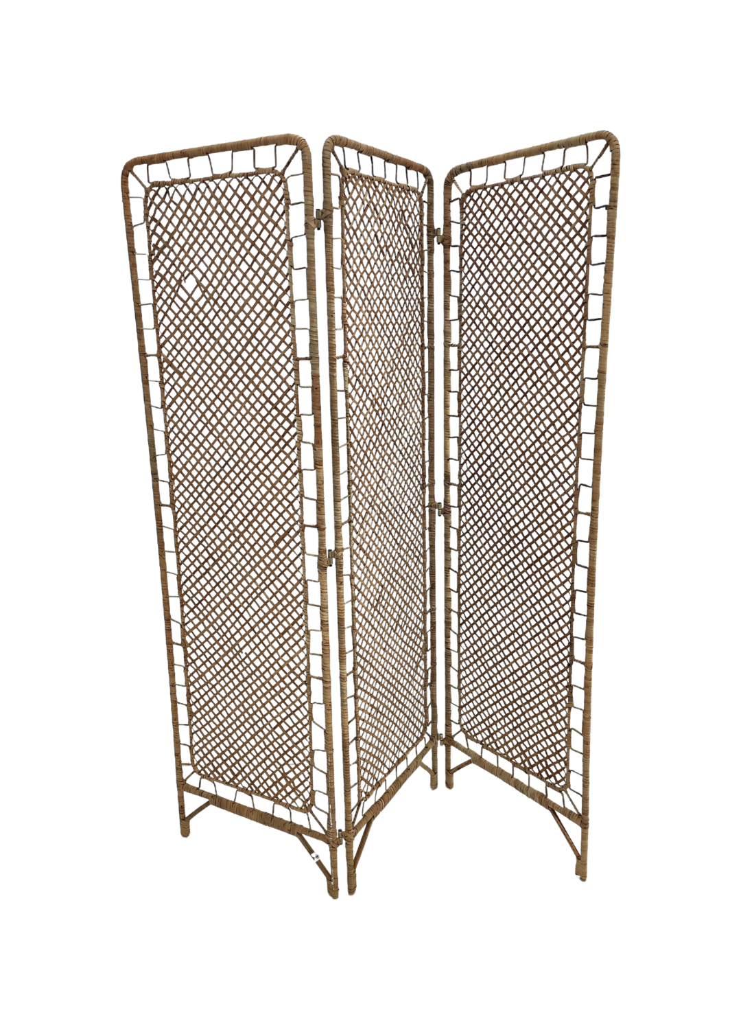 FALTA SEGUNDA FOTO (10).png