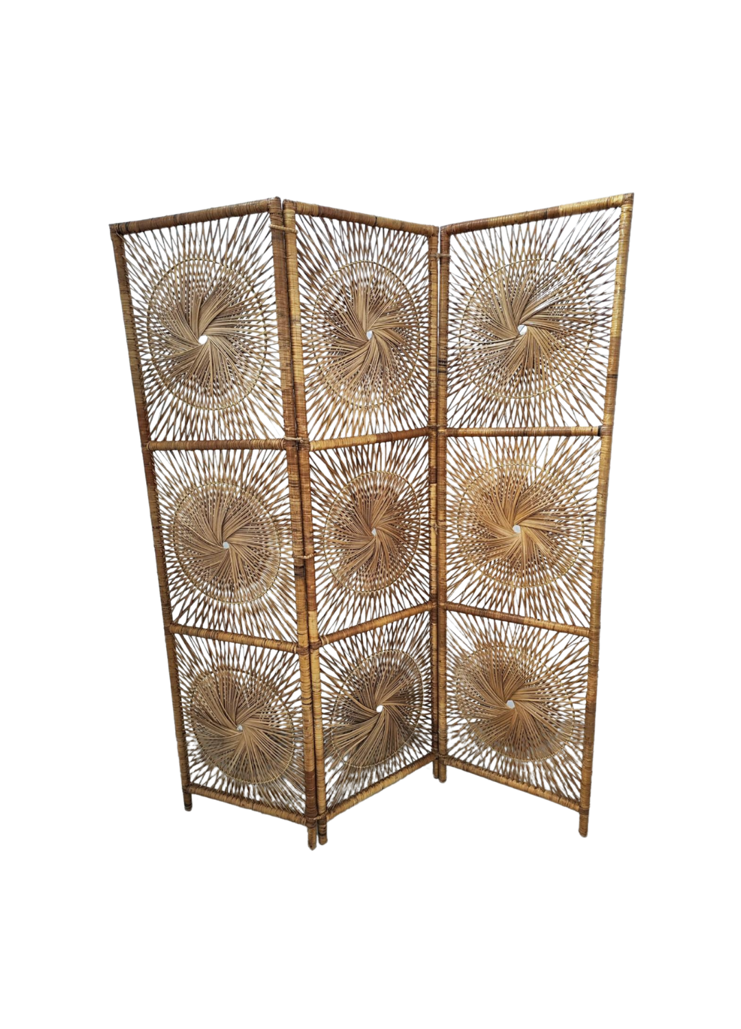 FALTA SEGUNDA FOTO (13).png