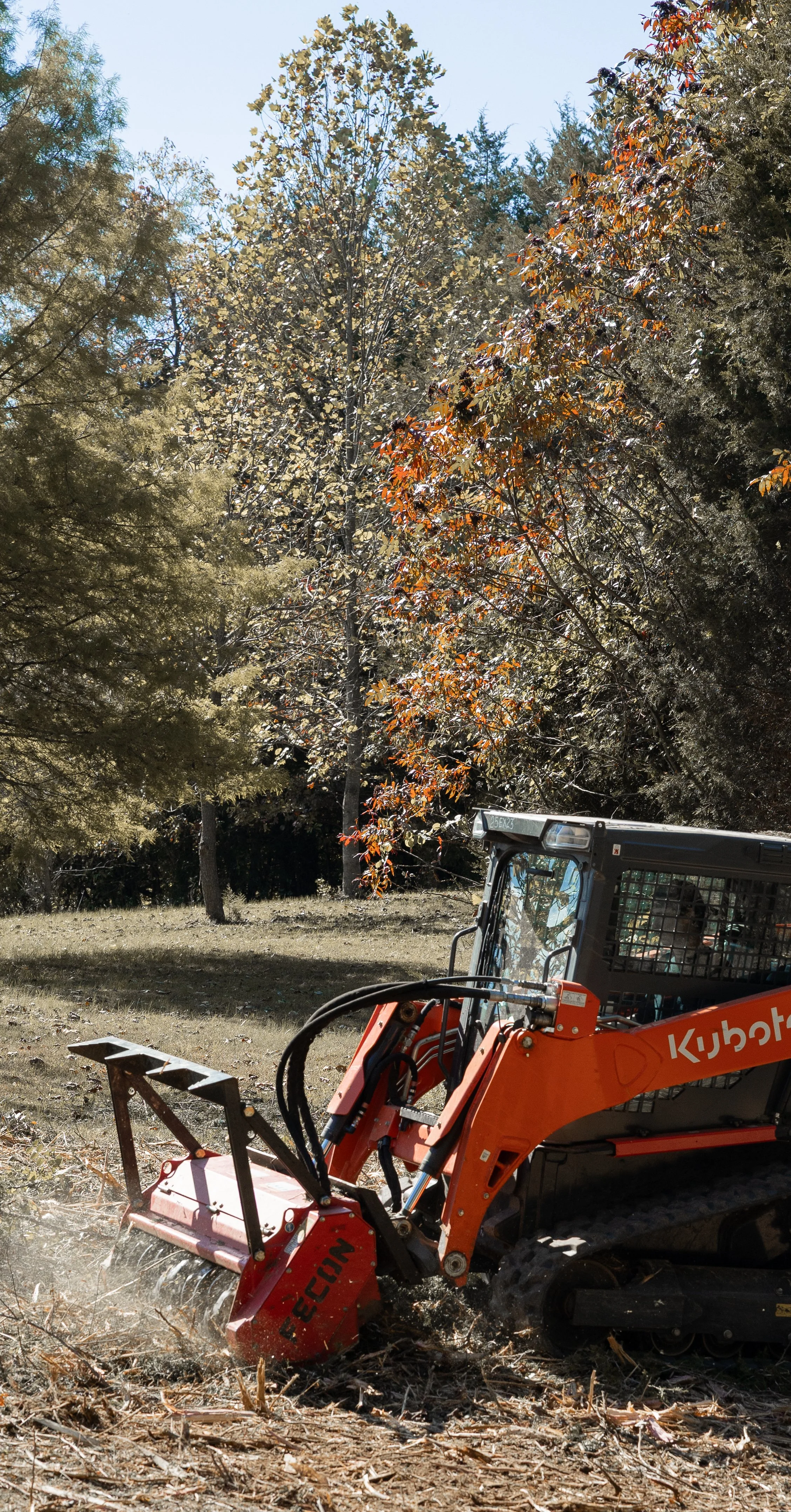 land clearing form background.jpg