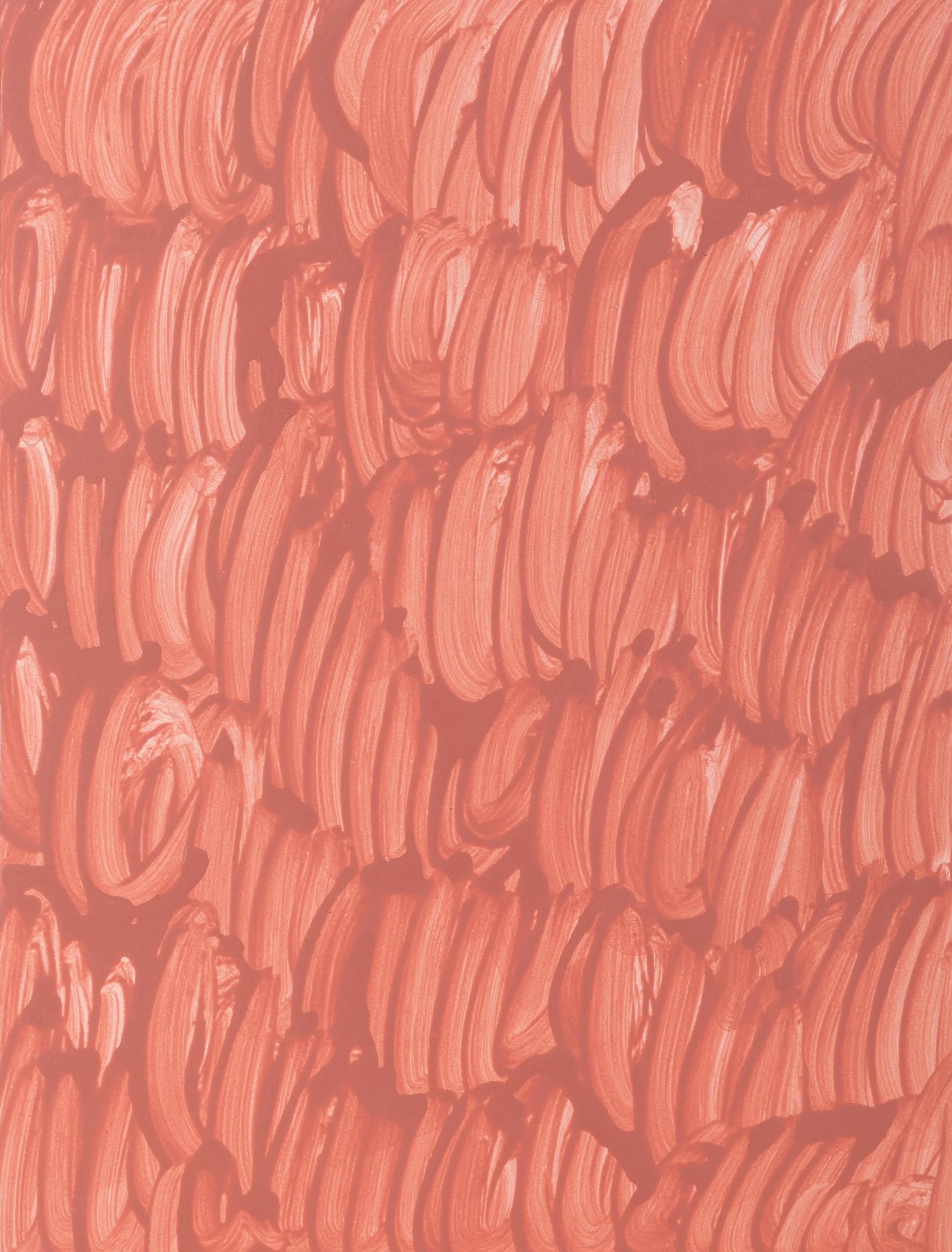Persimmon