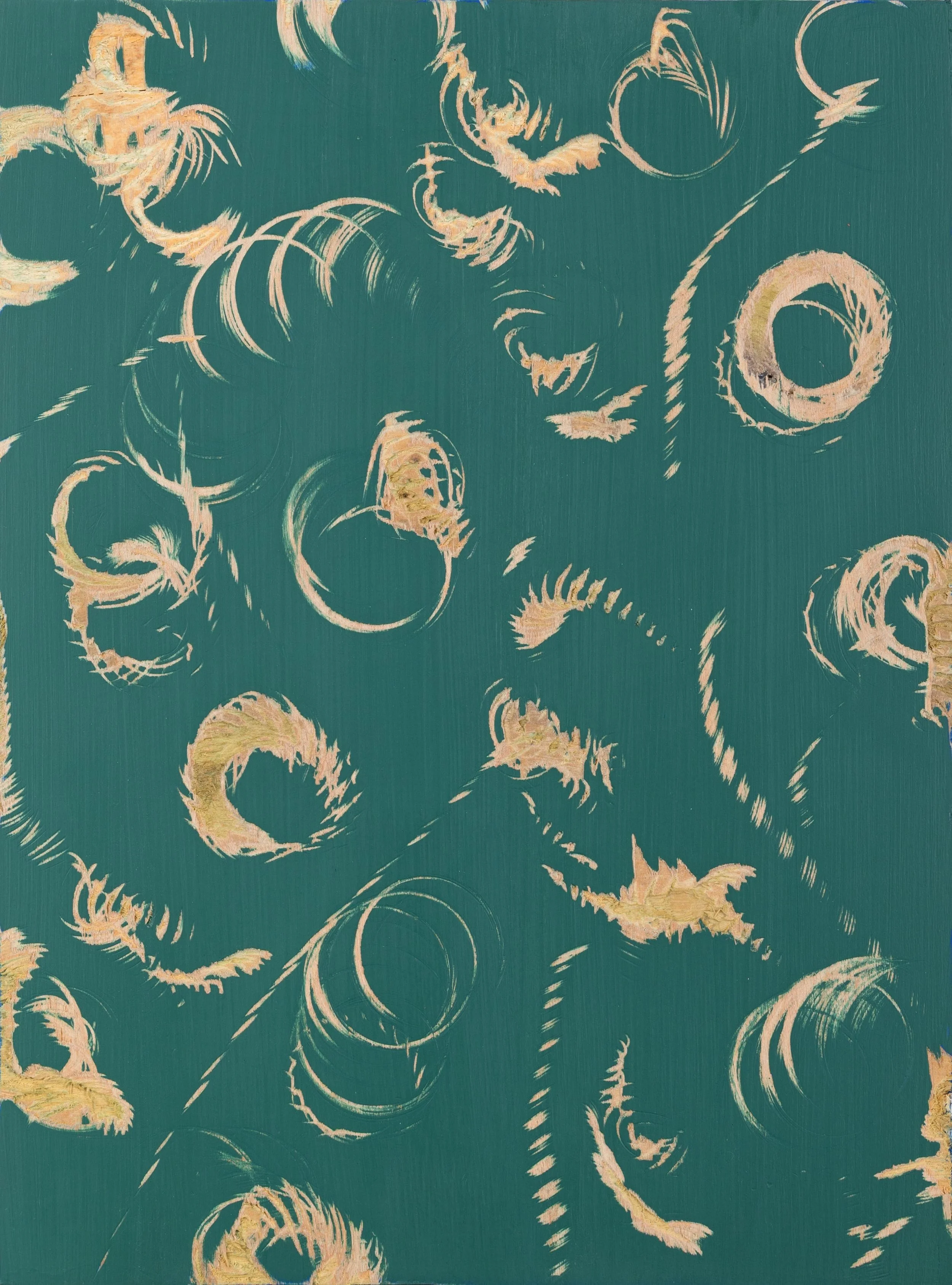 Fern