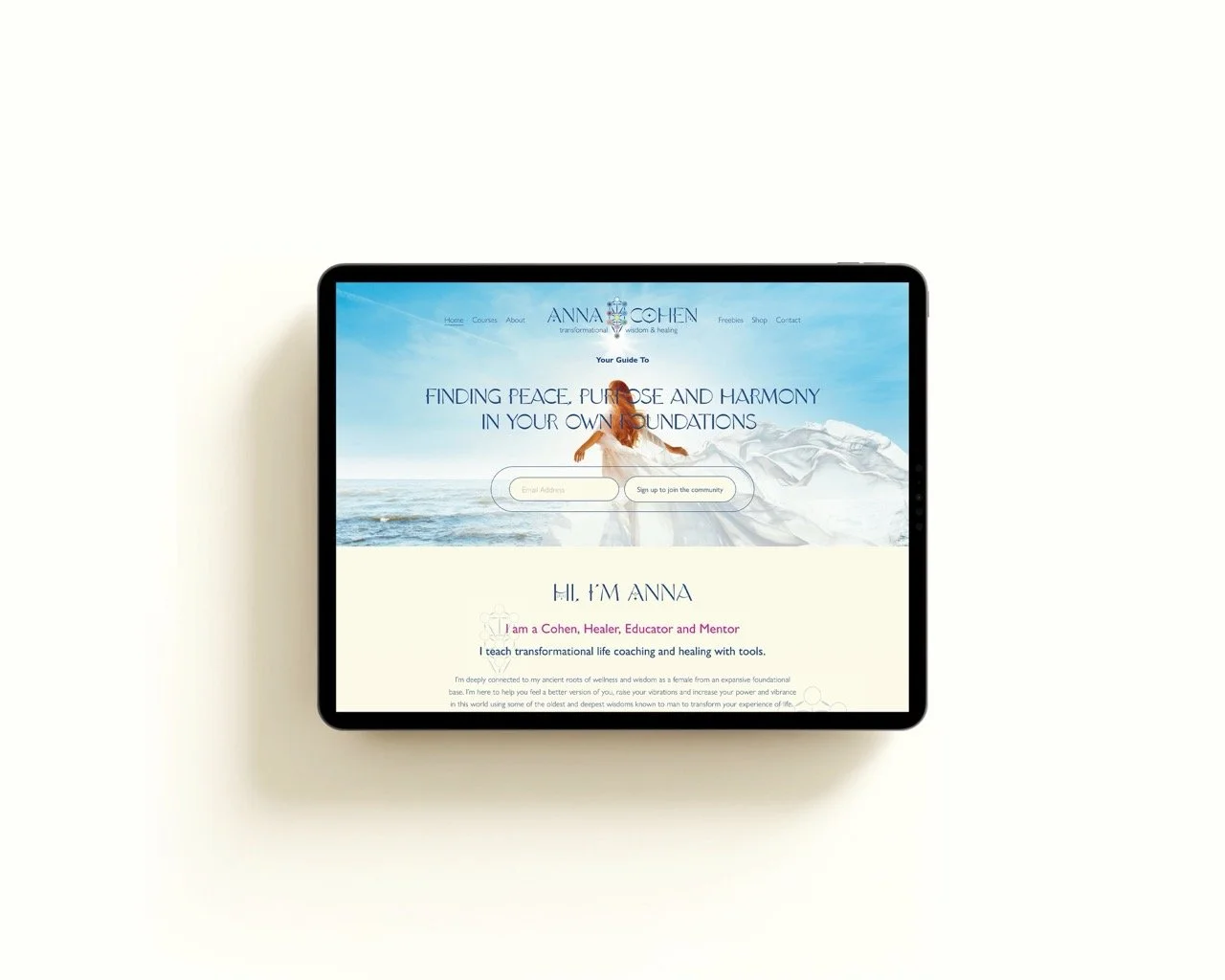 Anna Cohen iPad Large.jpeg
