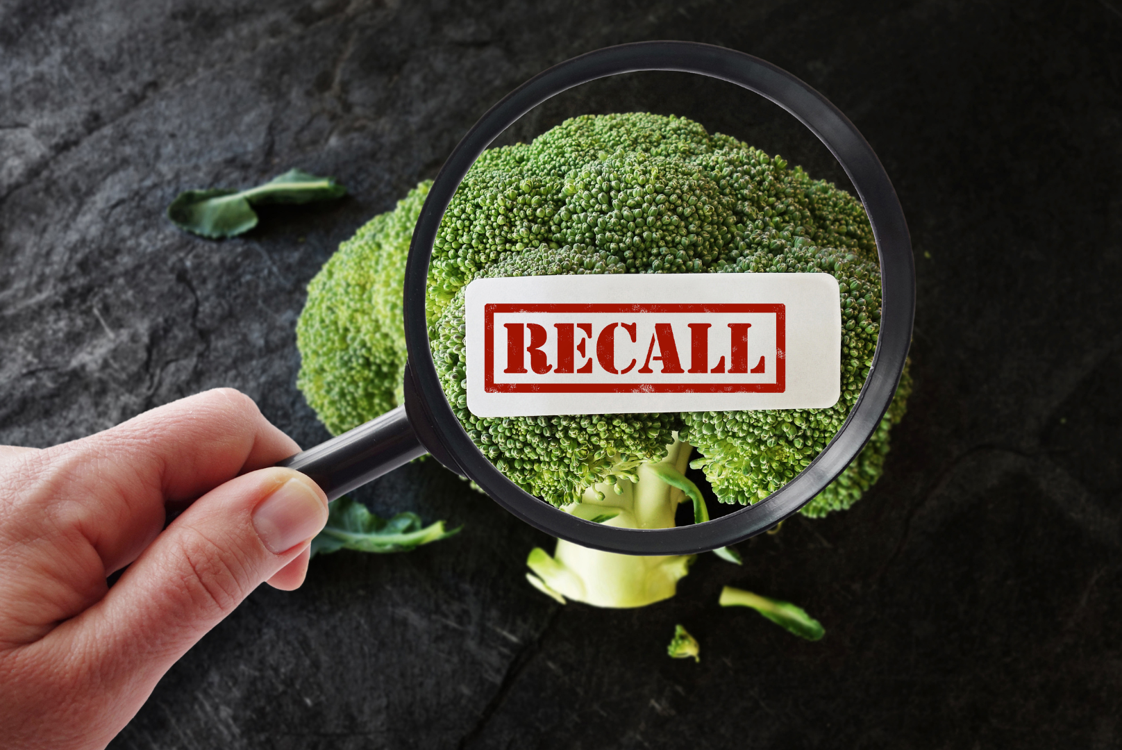 Dangers of Product Recall