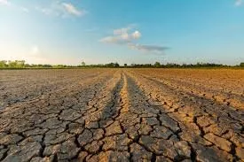 Weather Risk - Drought