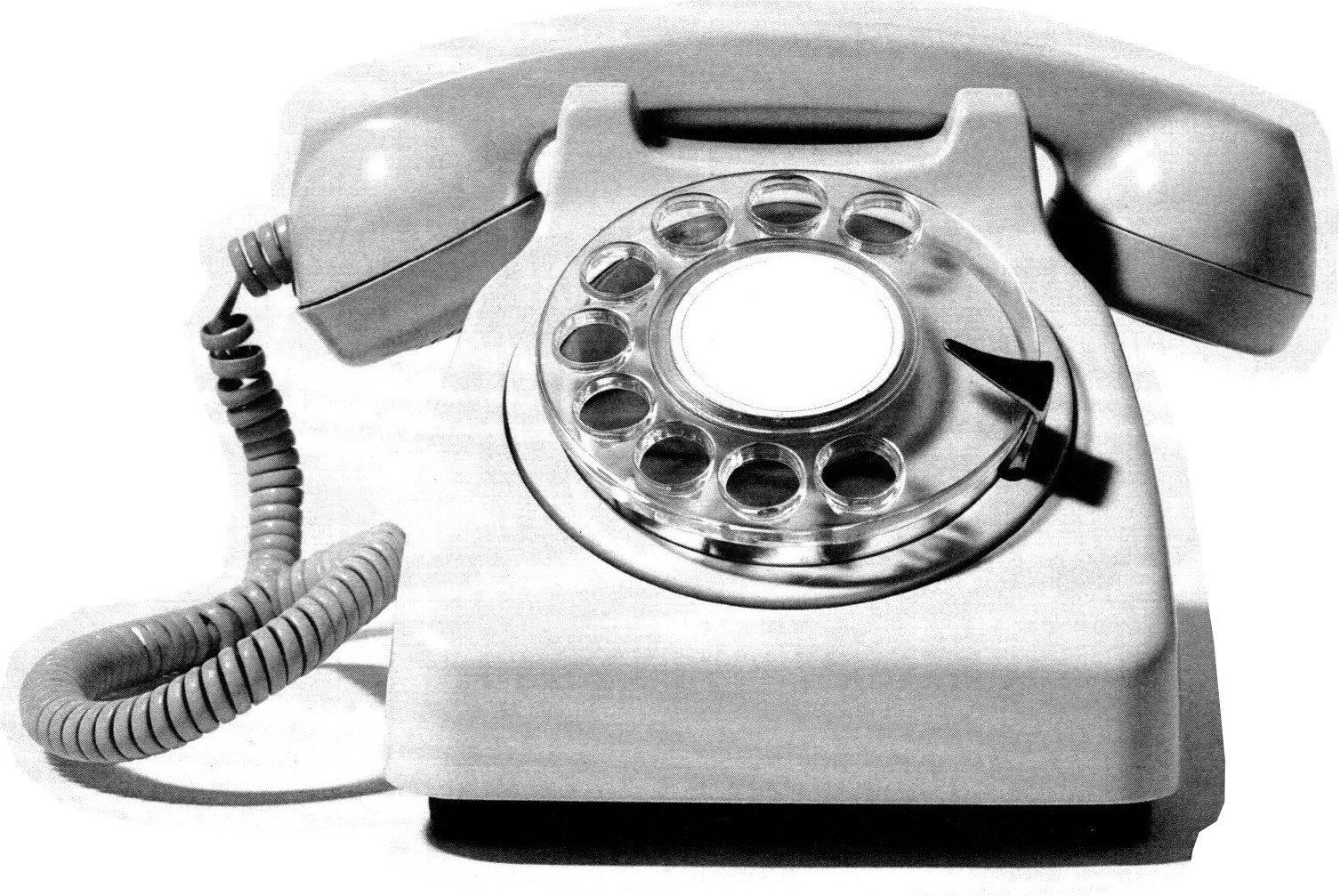 contact cosmic lake ashley seale nutritionist