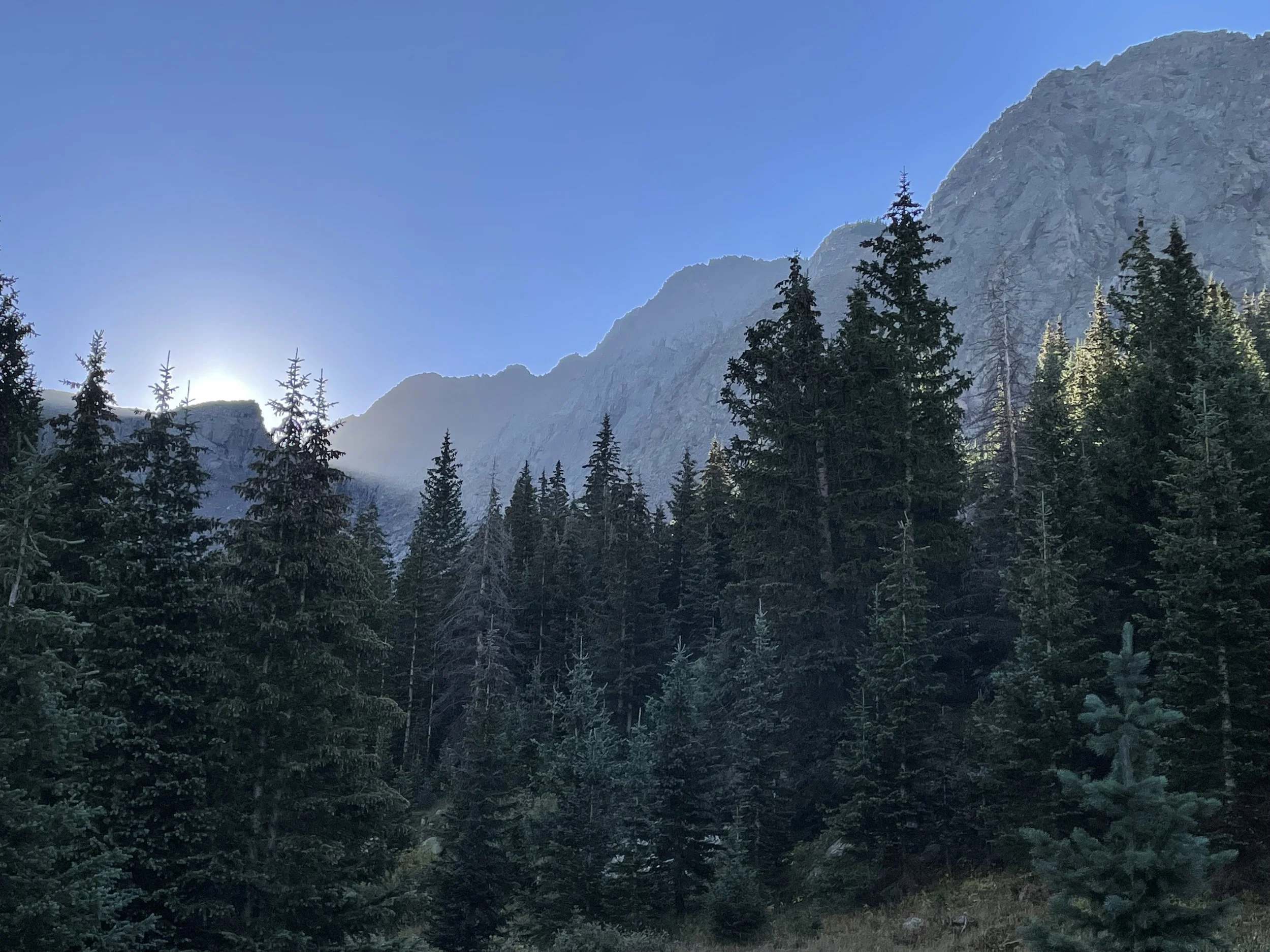 Following the Breadcrumbs: Reflections on a Year of Transition