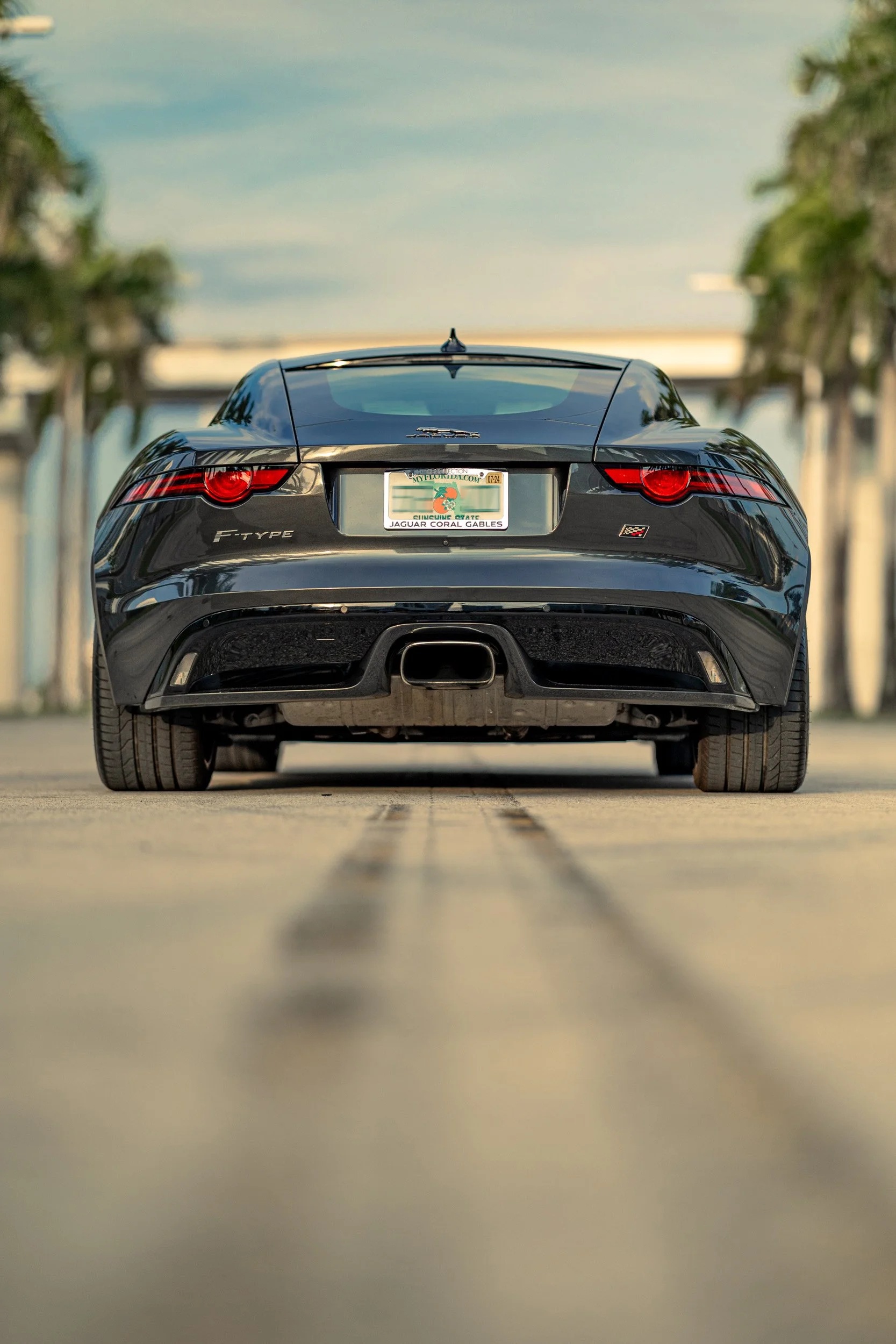 AS-FTYPE-17-blur.jpg
