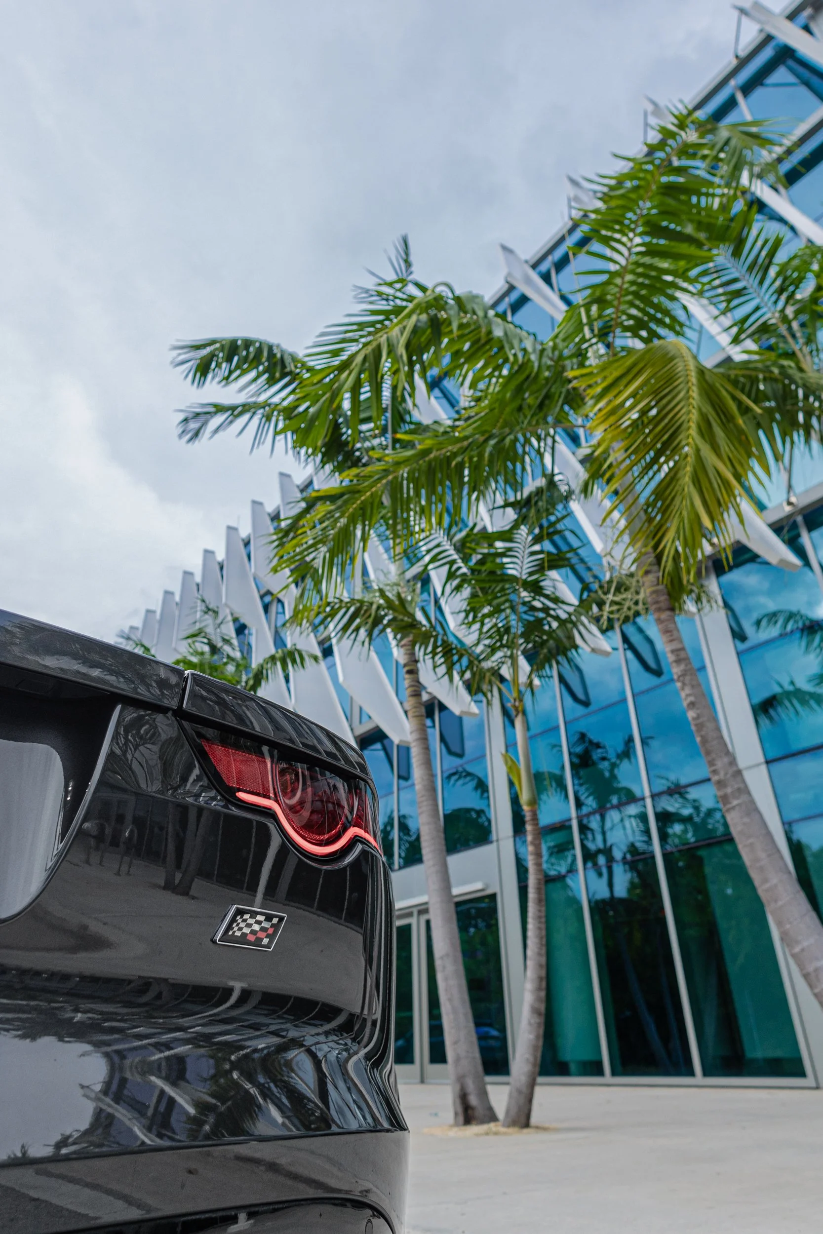 AS-FTYPE-4.jpg