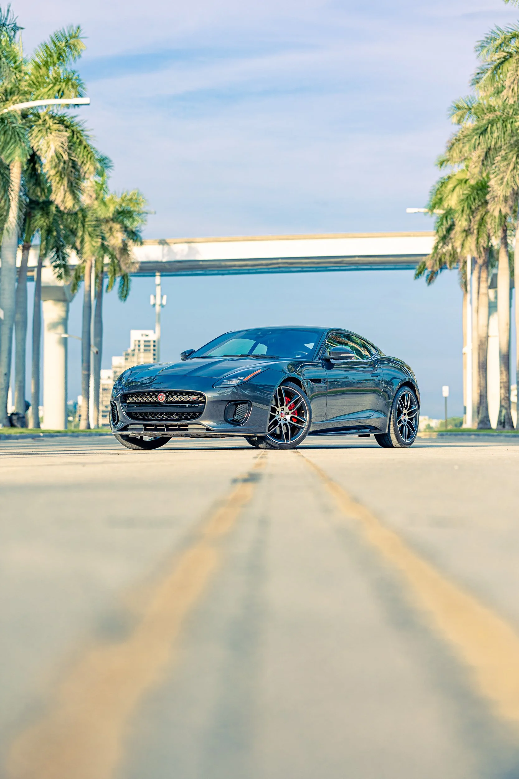 AS-FTYPE-12.jpg