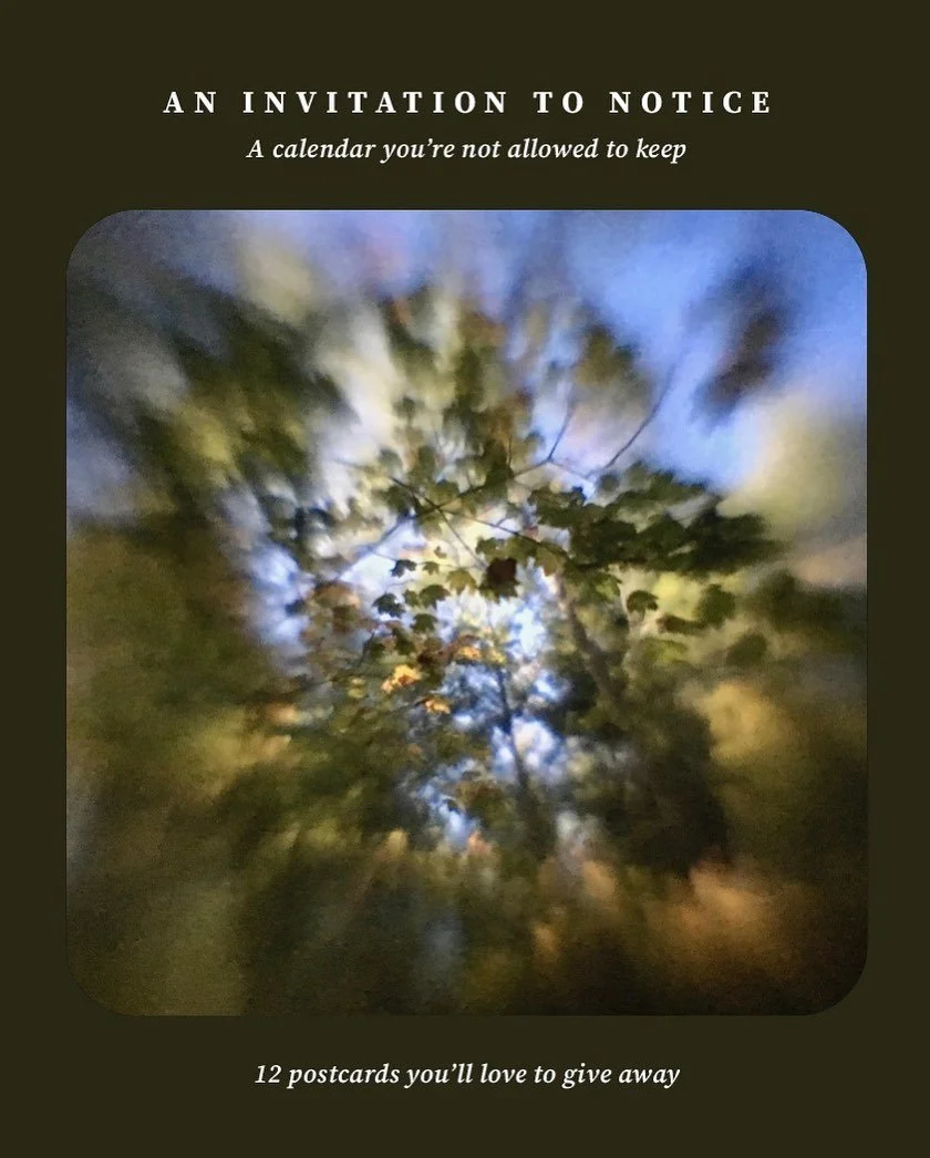 Art heals. In the midst of grief and hard times there is beauty and there is love.  Here is the full video for my Kickstarter campaign &lsquo;A calendar you&rsquo;re not allowed to keep&rsquo;. Thank you @by.vanessaelisabeth for your keen eye, creati