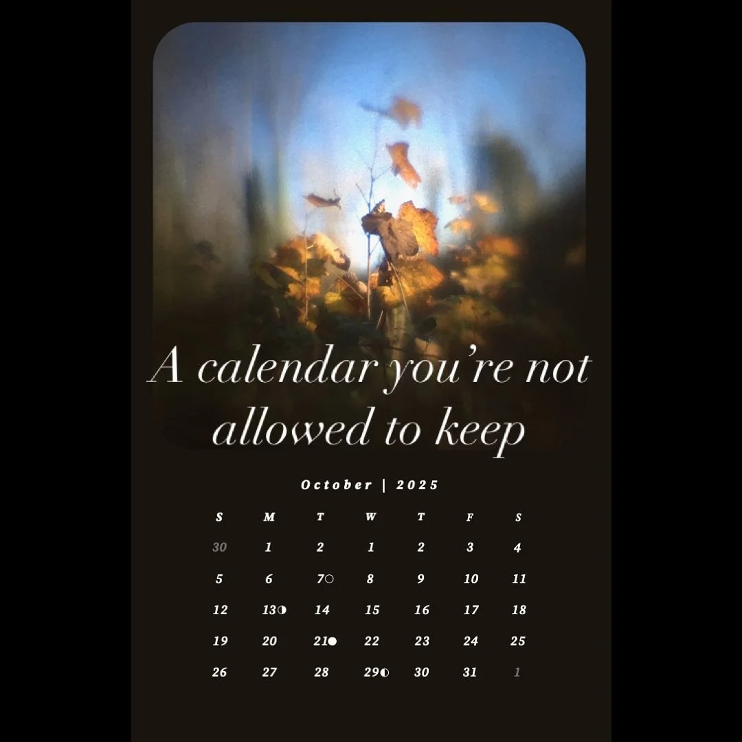 The whole story is on Kickstarter. Link in bio.  #projectswelove