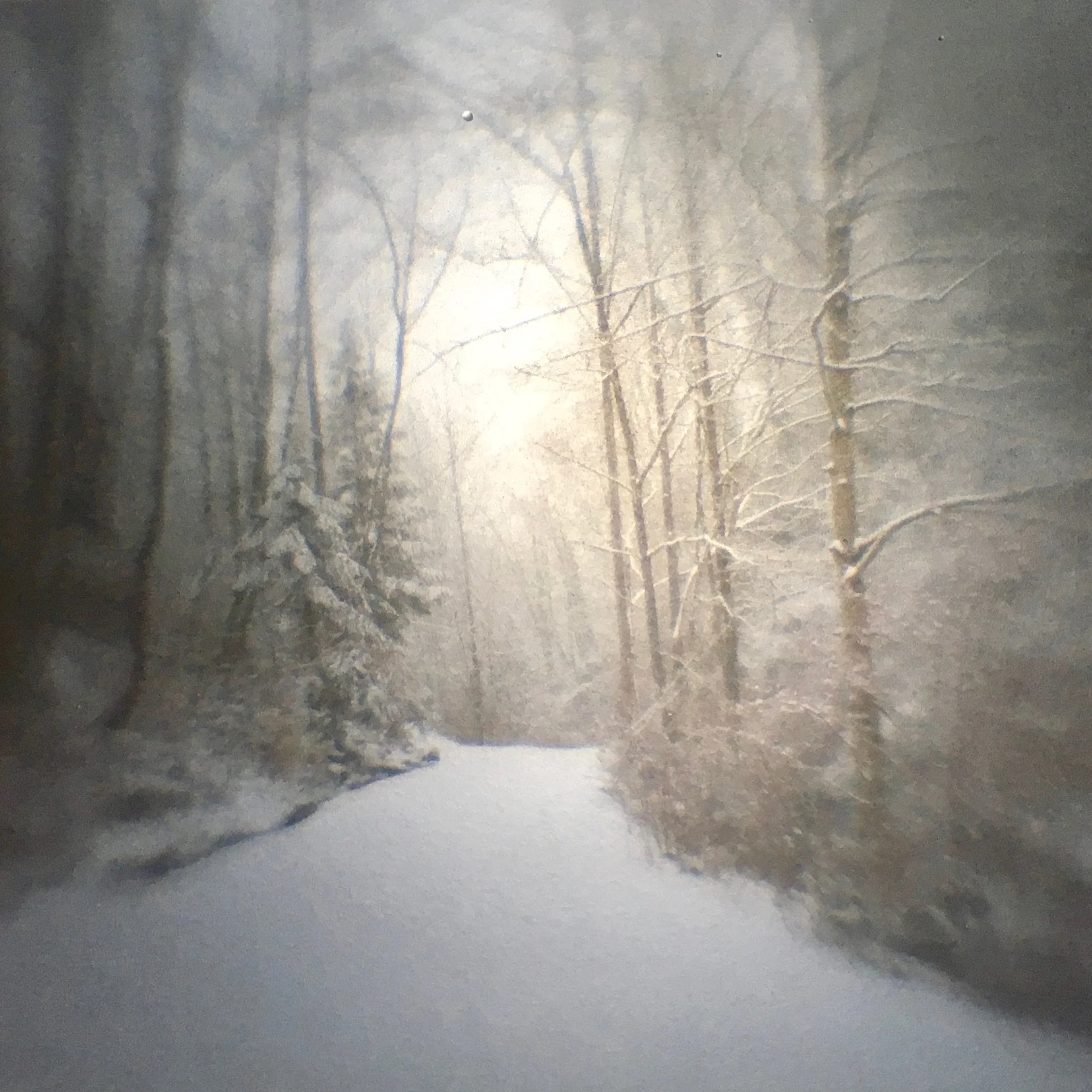 Images of a snowy path, bleeding heart flowers and birch trees captured through a camera obscura