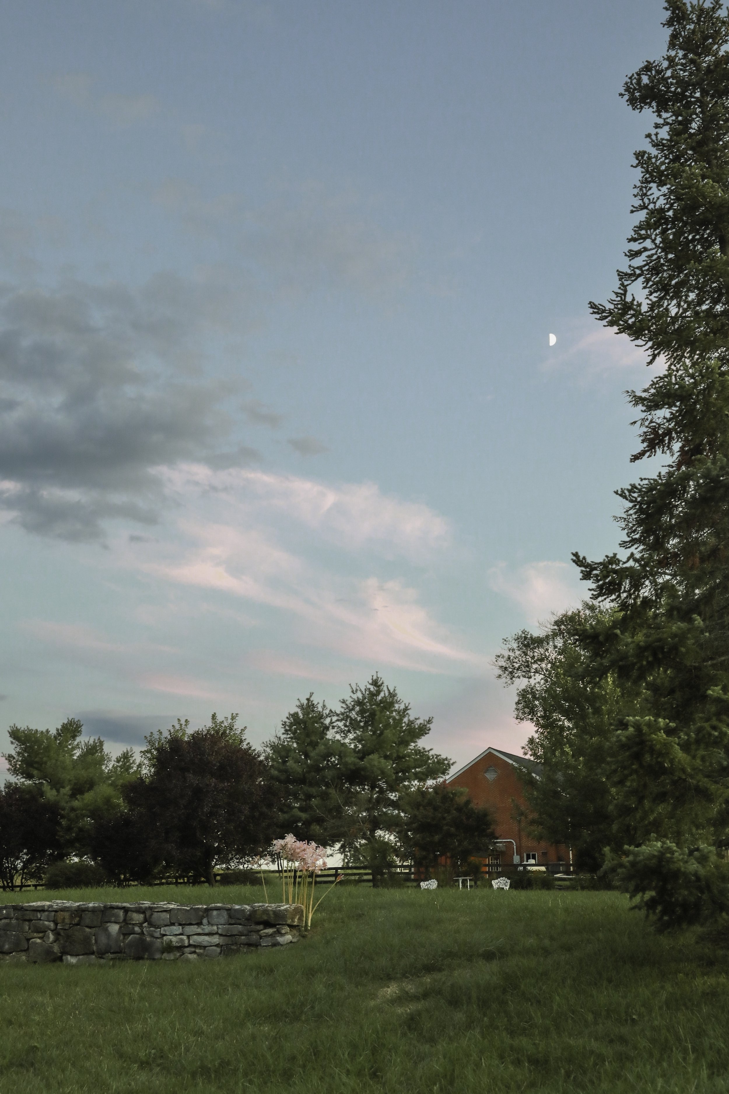 8F6A5661.jpg