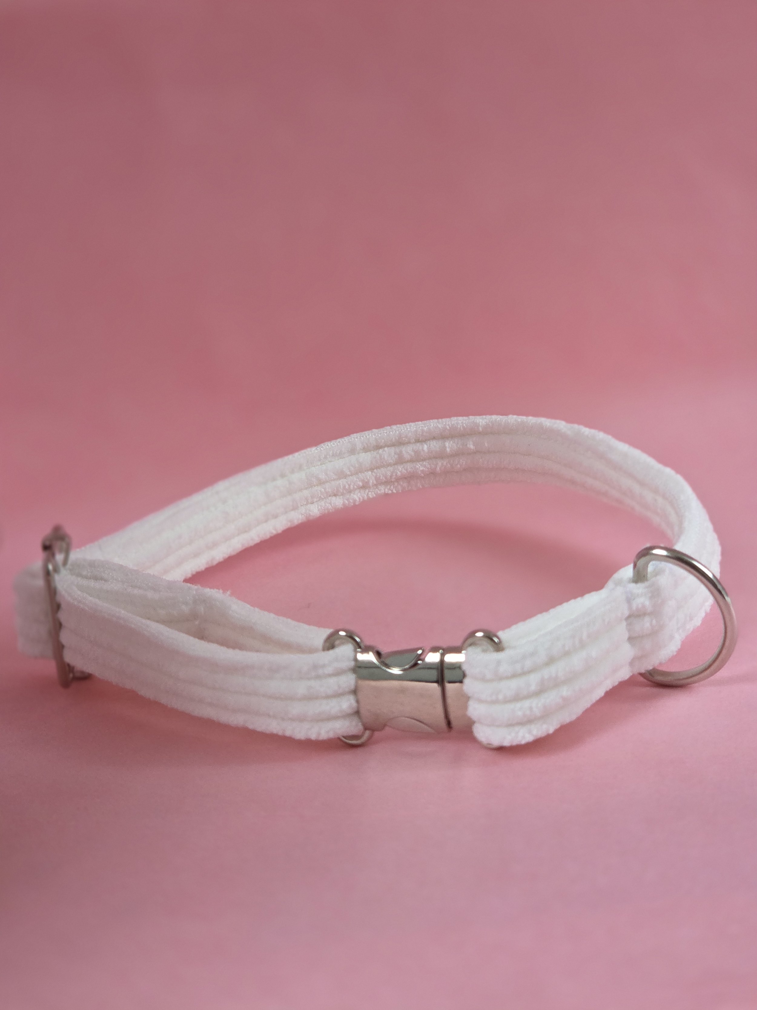 🐶 Colliers — L’élégance pour les petits chiens