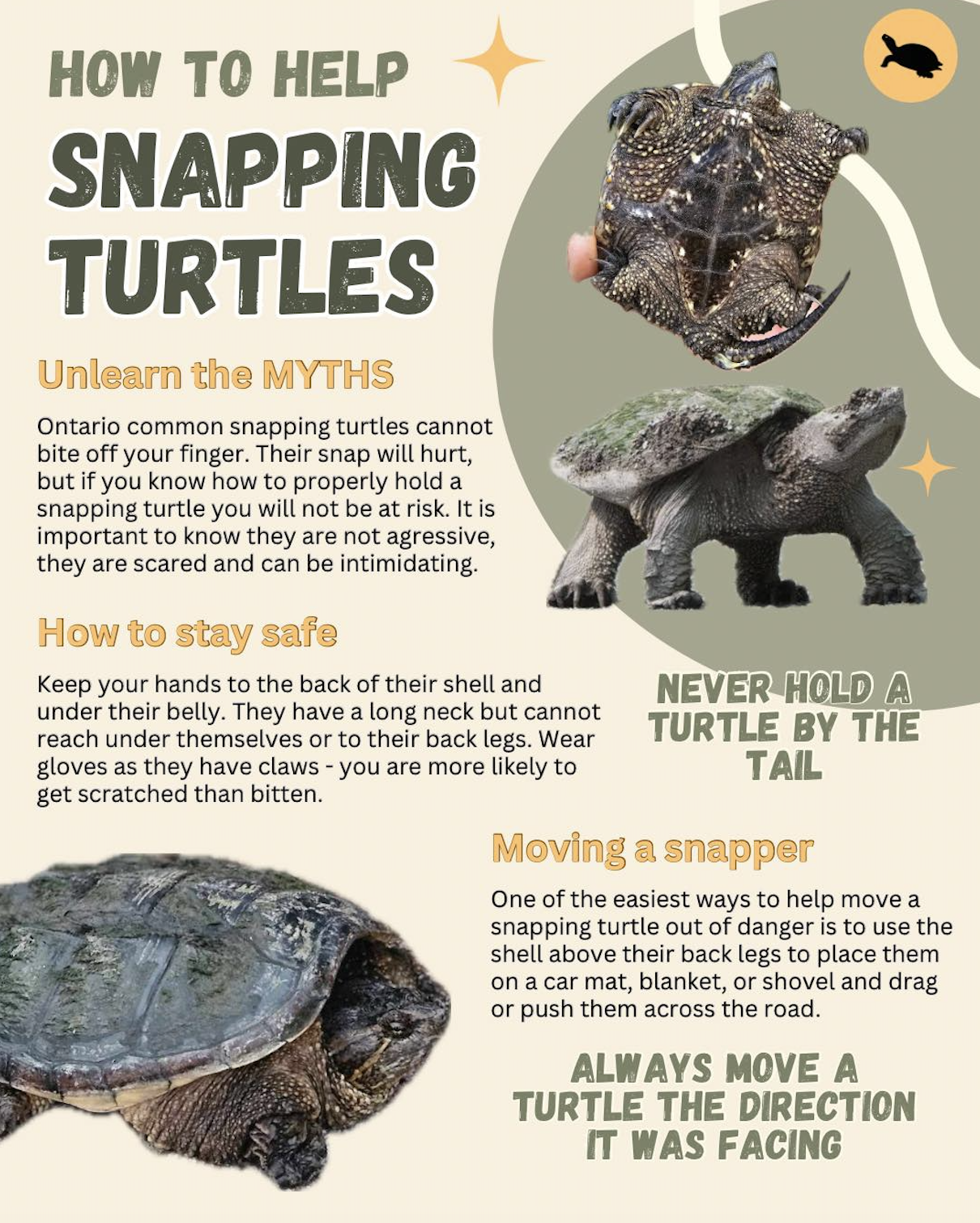 Screenshot 2026-04-28 at 9.29.24 AM.png