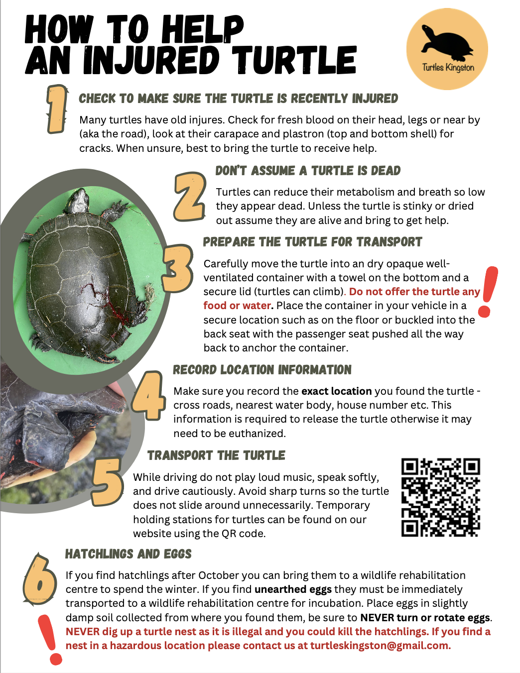 Screenshot 2026-04-28 at 9.29.57 AM.png