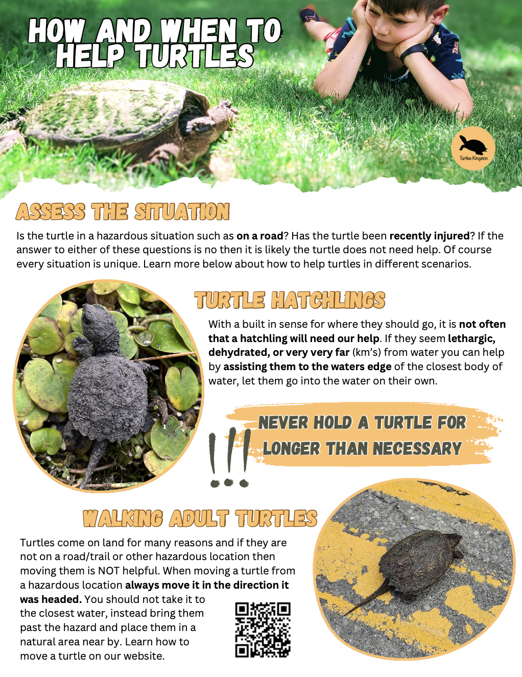 Screenshot 2026-04-28 at 9.30.10 AM.png