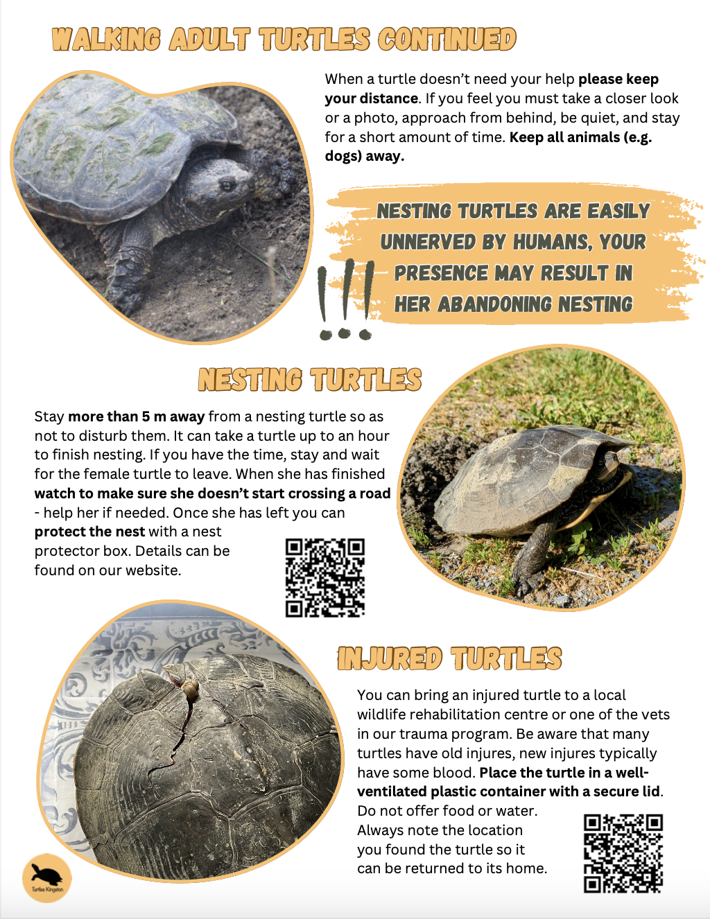 Screenshot 2026-04-28 at 9.30.17 AM.png