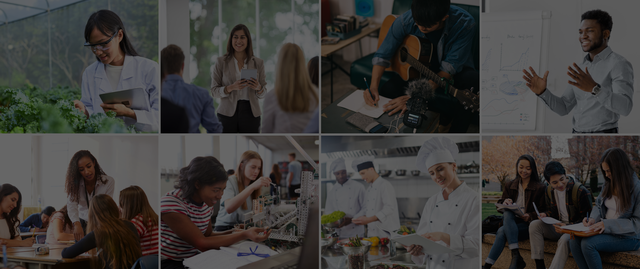 Web banner pricingv.png