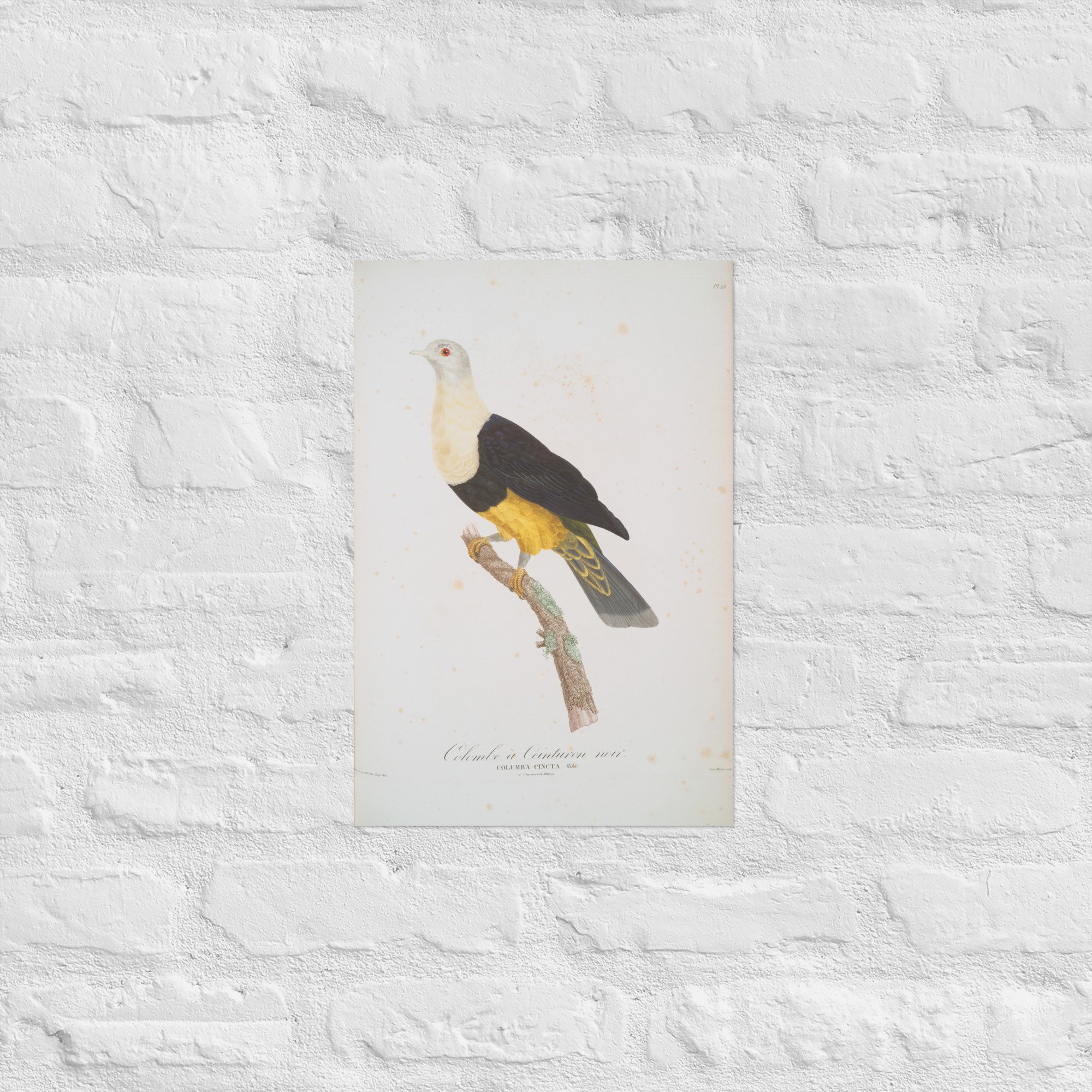 enhanced-matte-paper-poster-(in)-12x18-front-67f593bd61b2c.jpg
