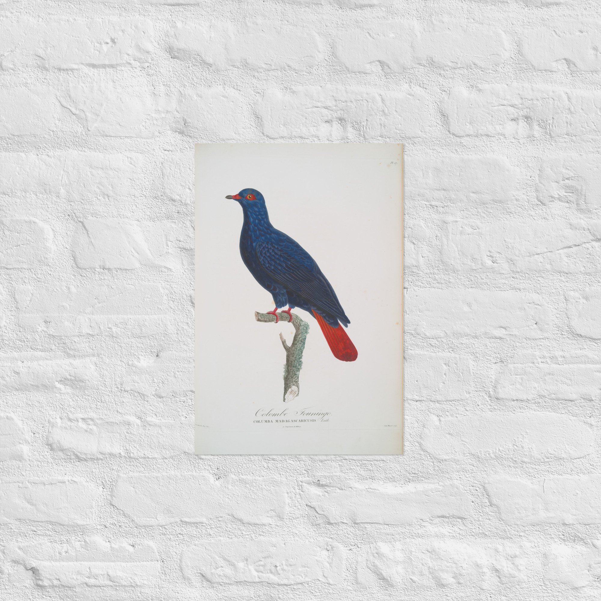 enhanced-matte-paper-poster-(in)-12x18-front-67f693a5b5740.jpg