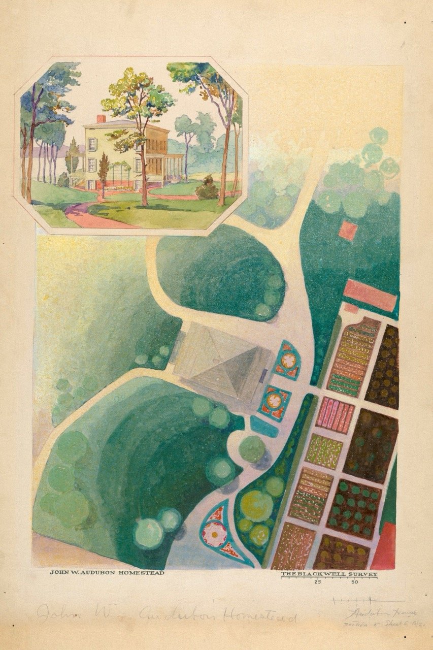 j._audubon_estate_1943.8.10477 Large.jpeg