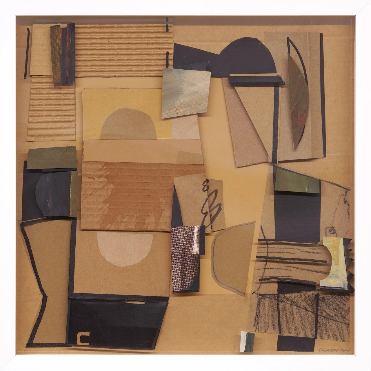 Amazonia- A Cardboard World.jpeg