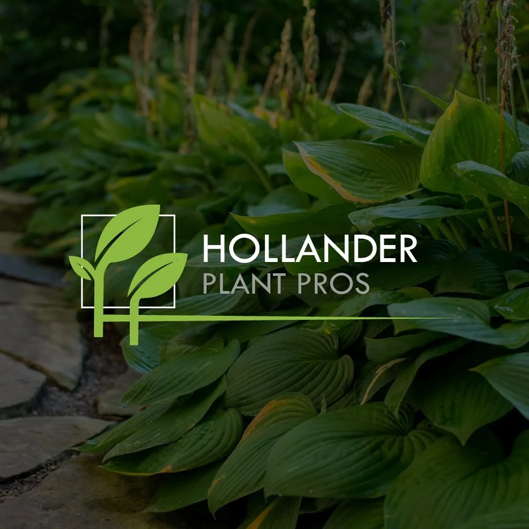 Drum roll please&hellip;

You called, we answered. Introducing Hollander Plant Pros. 🌱✨

We created Hollander Plant Pros to make plant shopping easier, cleaner, and more convenient than ever before.

Check out our brand-new website for amazing sel