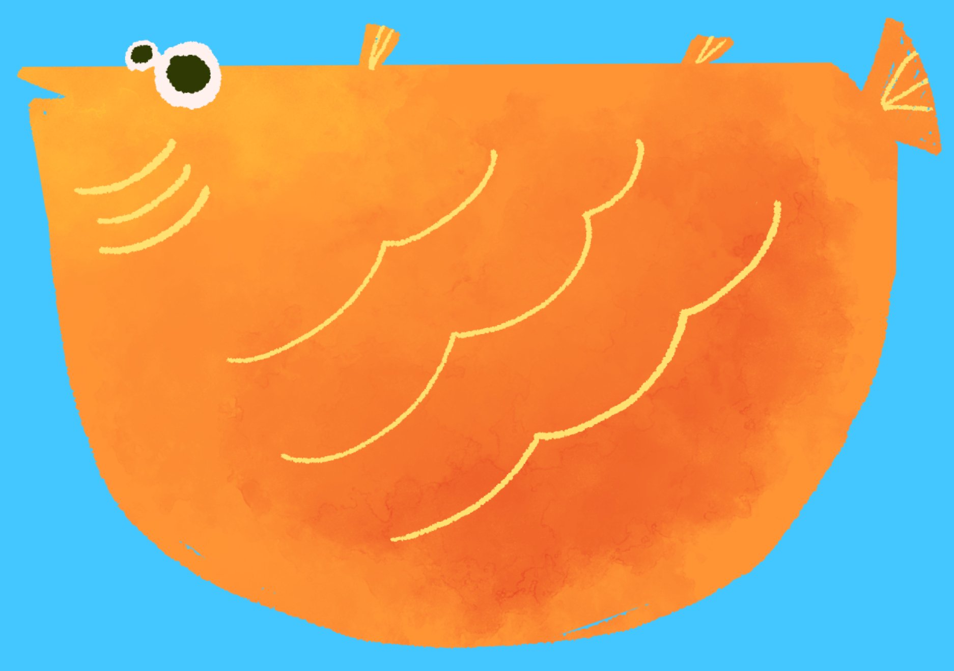 fishdesign2.jpg