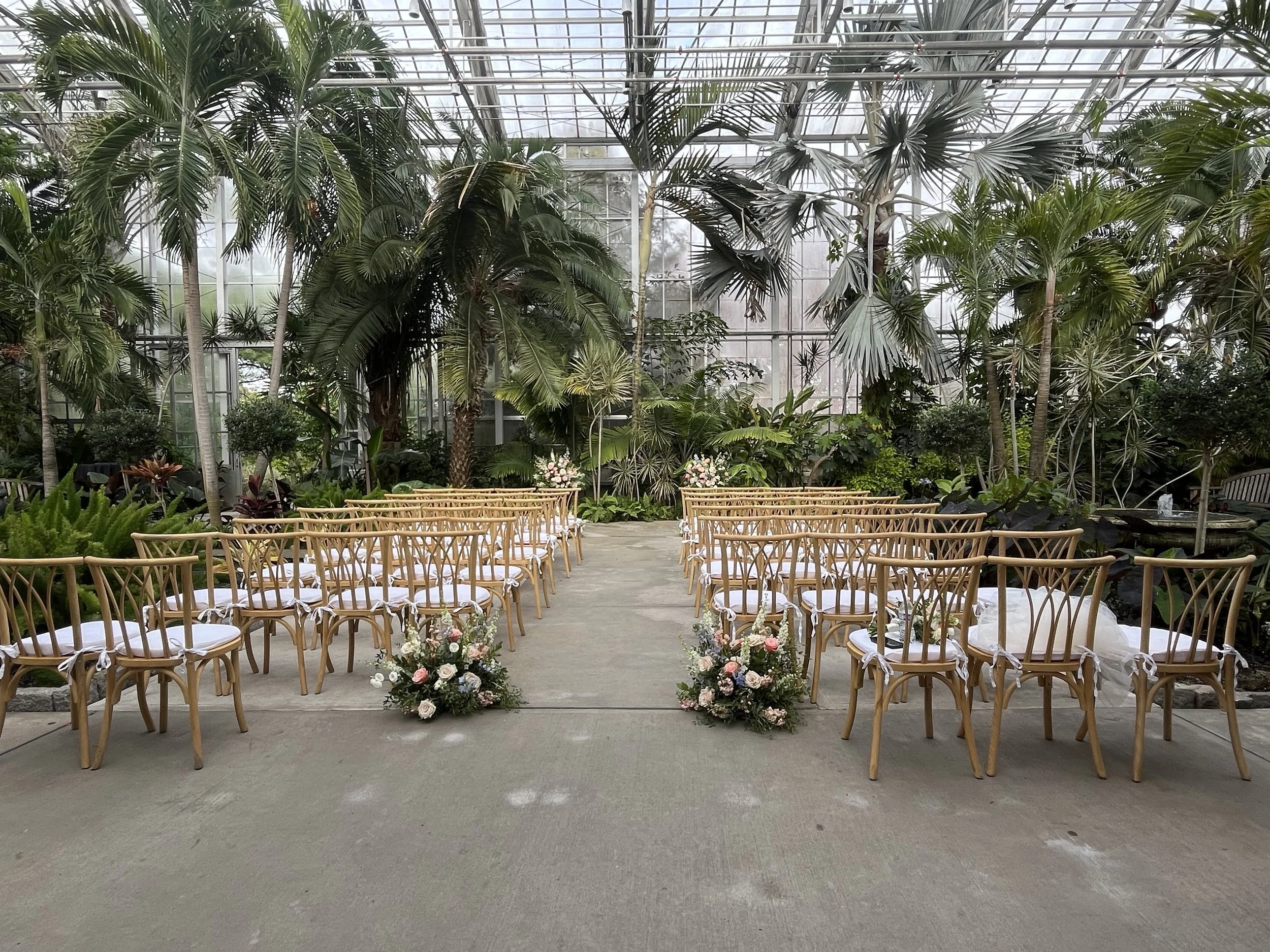 Indoor greenhouse decorated for wedding with rows of wooden chairs with white cushions and floral arrangements in the center aisle, surrounded by tropical plants and trees.