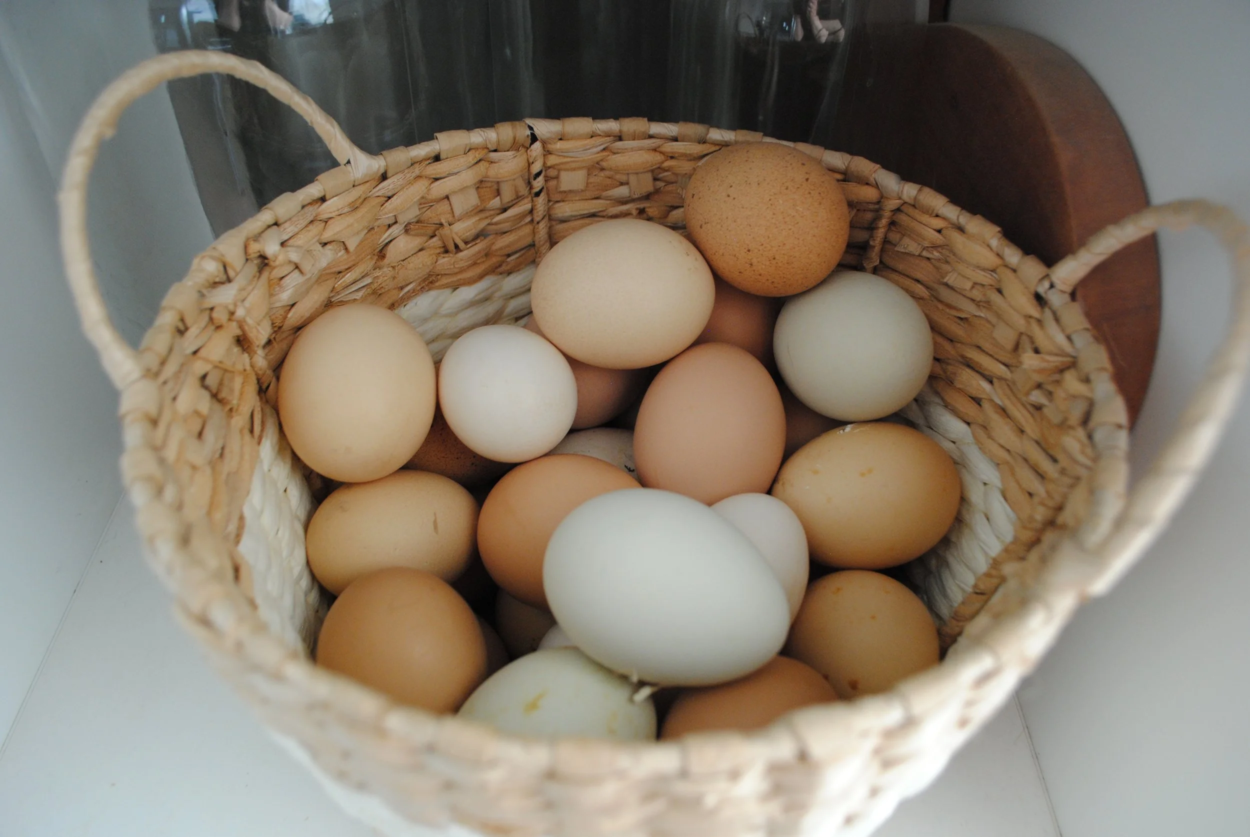 Farm Fresh Eggs