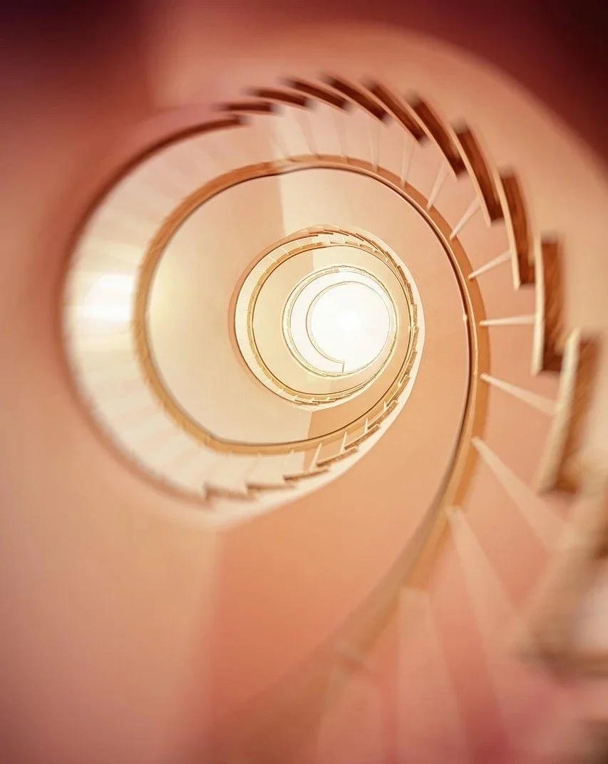 Activist Playbook: Hijacking the Process - How Consultation Becomes a Weapon