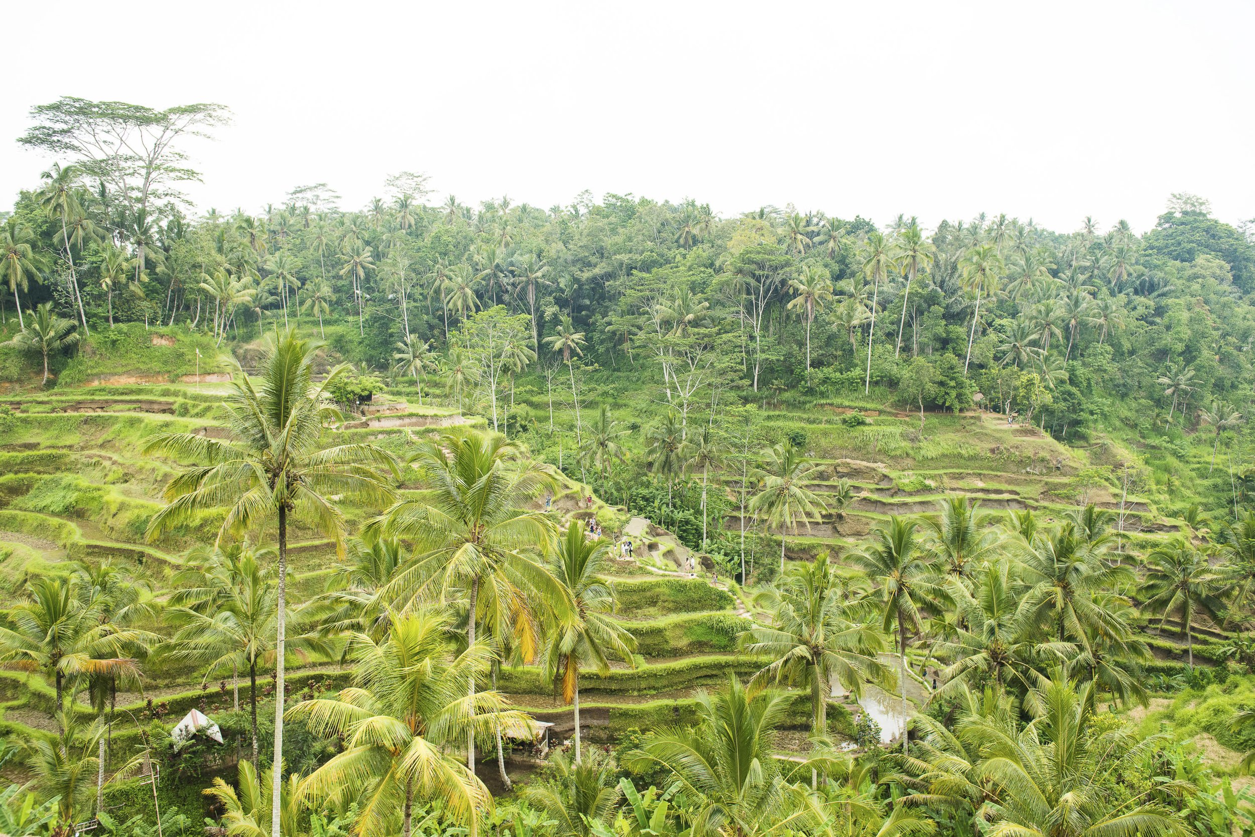 Bali_035.jpg