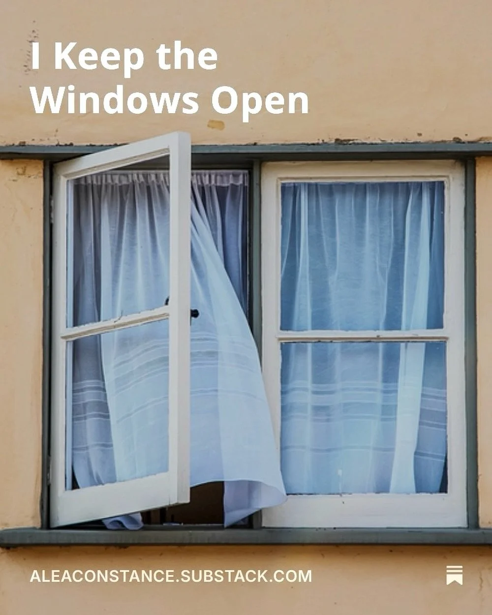 New post about my cat running away NYE up on my substack, link in bio 😿💔