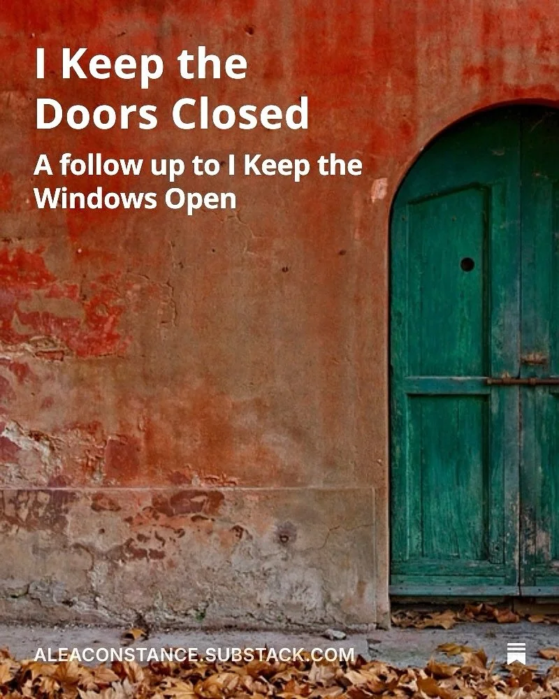 Up on Substack, the outcome of my lost cat 🖤♾️