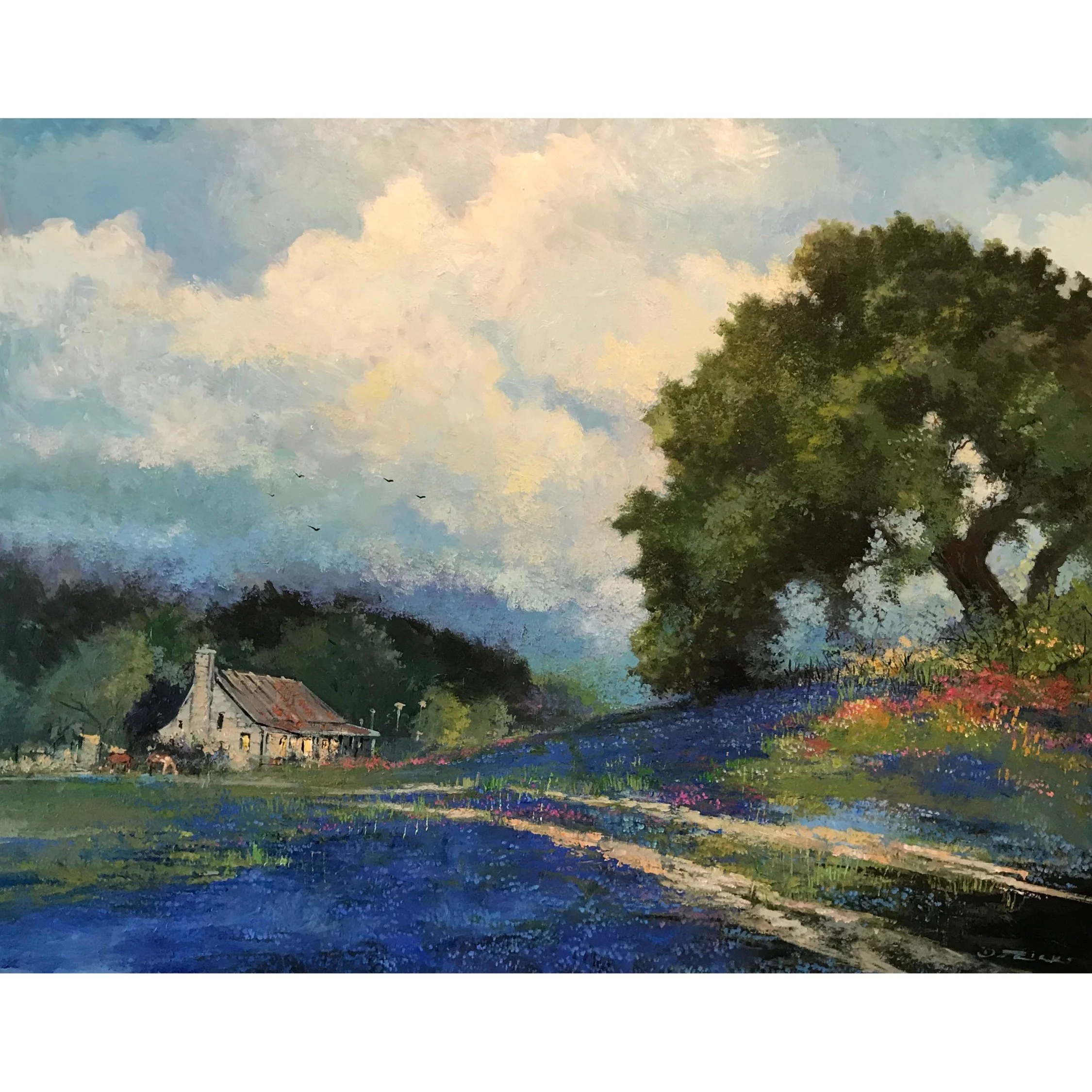 Hill Country #1 - Giclée on paper (small sizes) or canvas (large sizes)