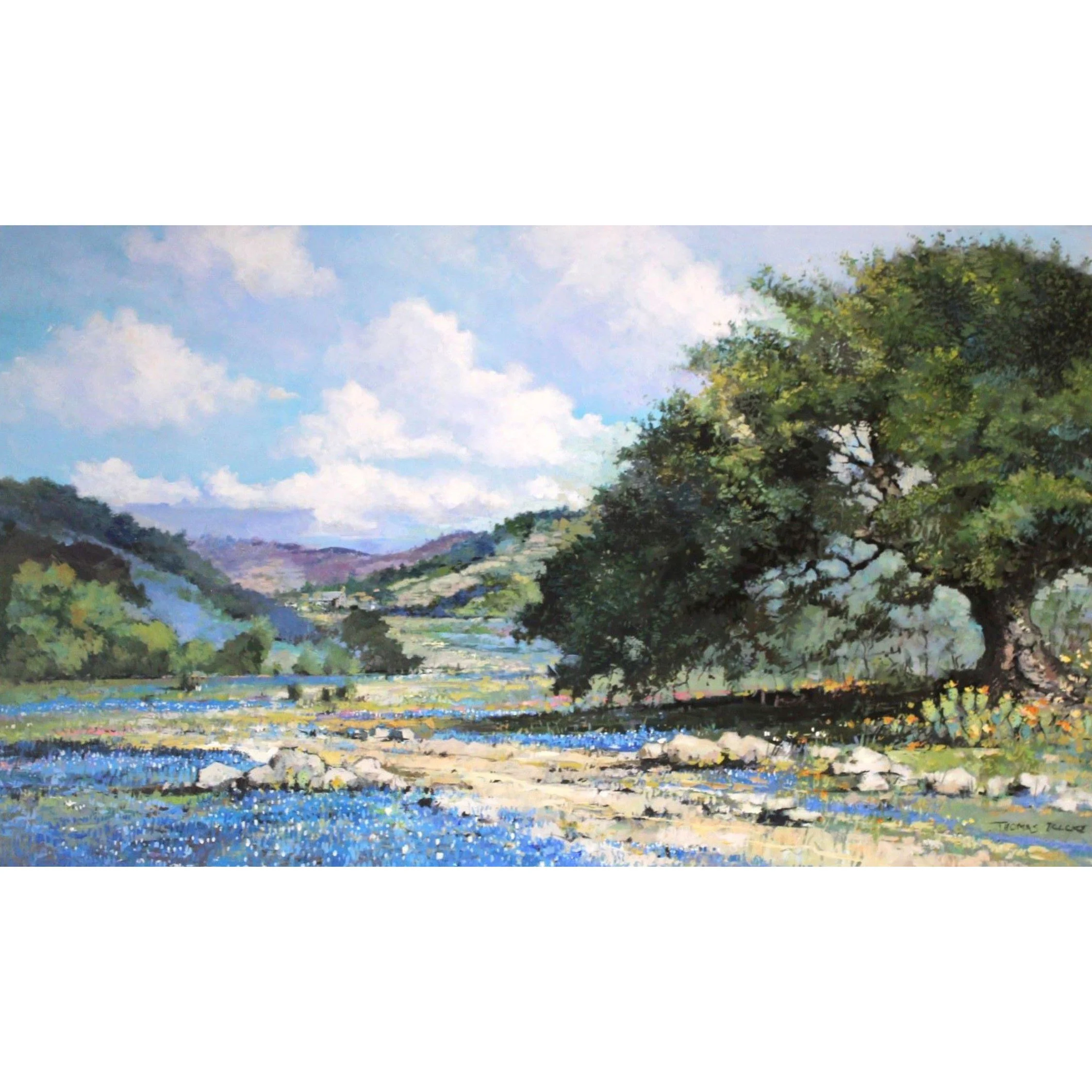 Hill Country 2.jpg