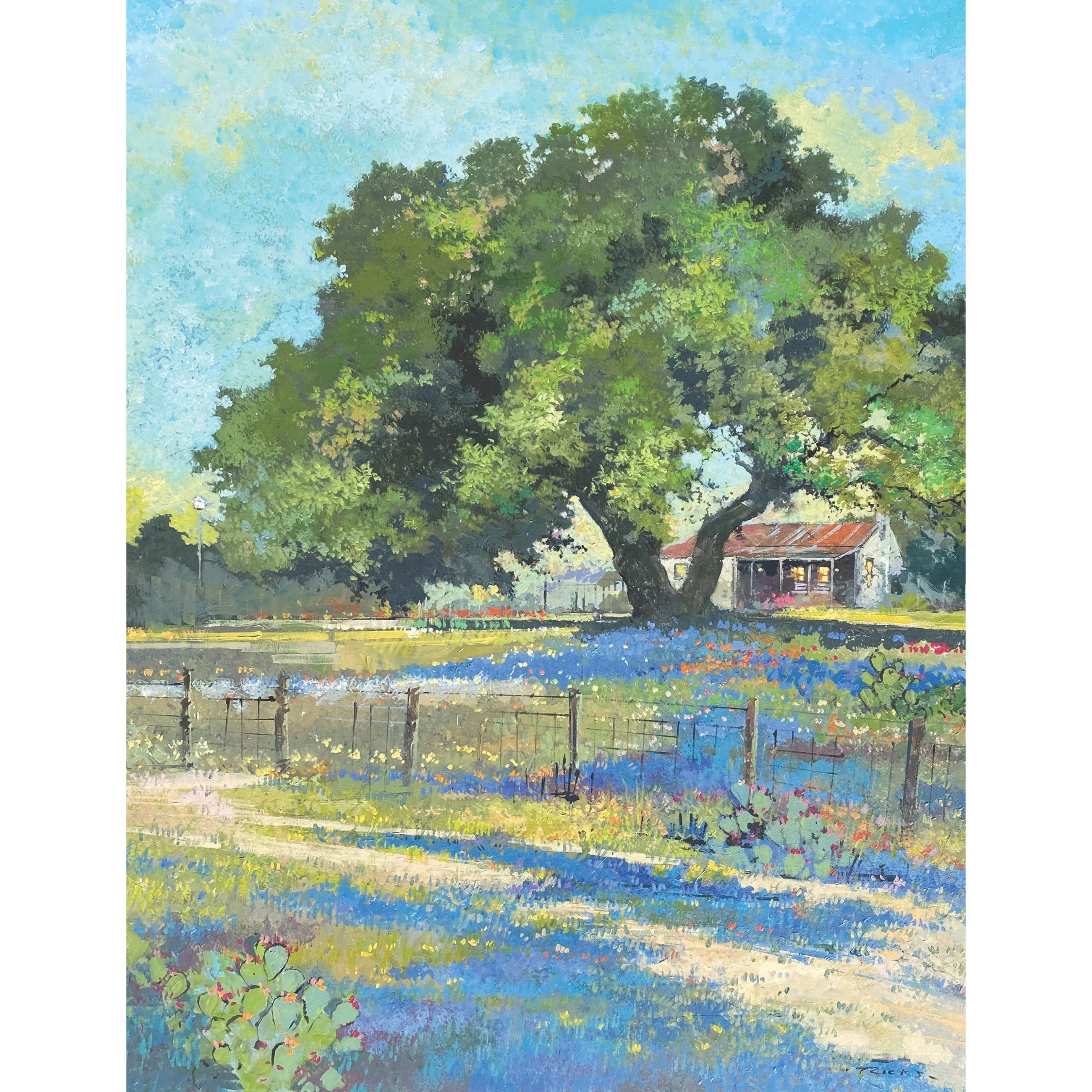Hill Country 6.jpg