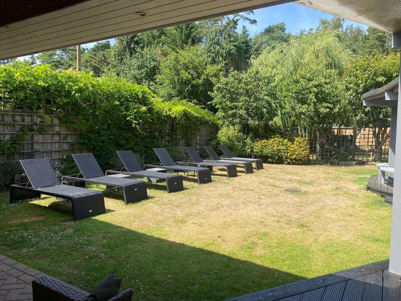 sunloungers.jpg
