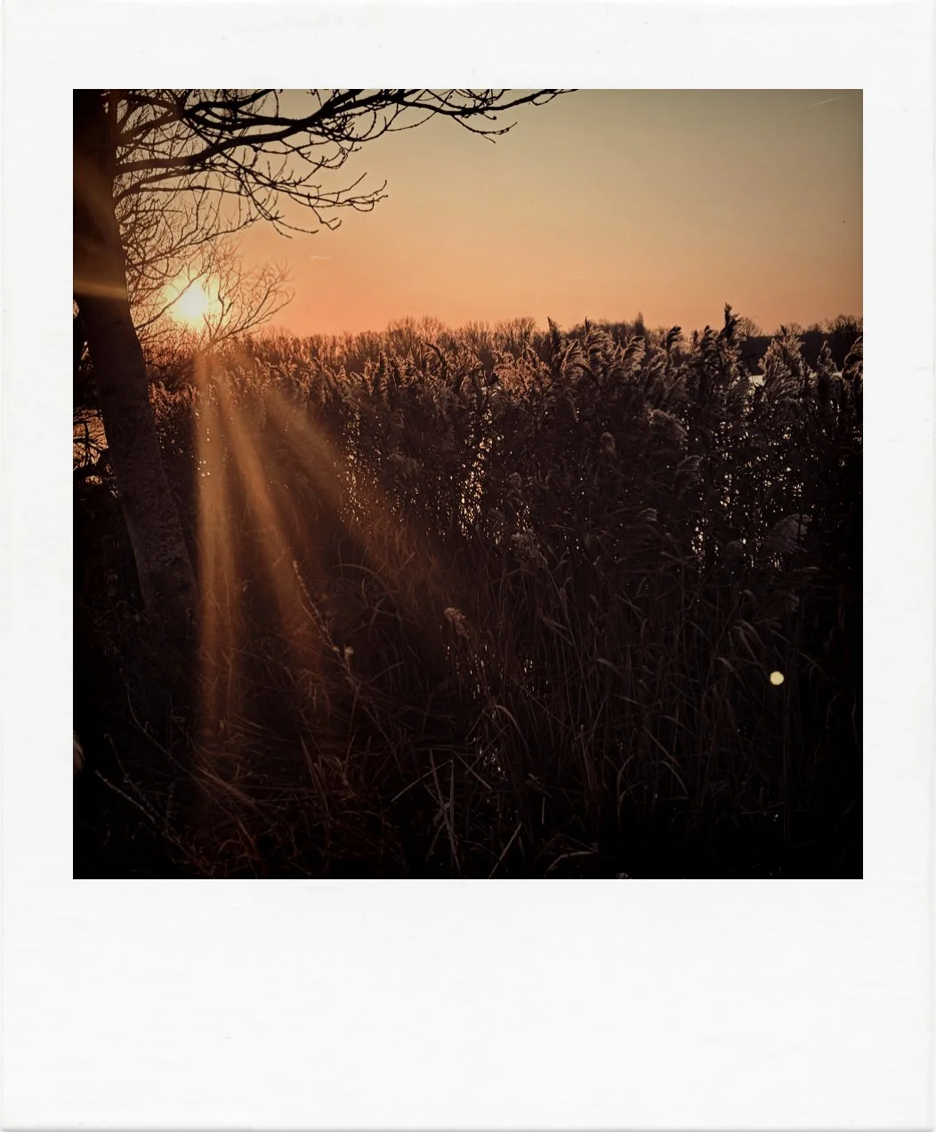 ‘Alone again, naturally’ - This is what survival looks like right now.