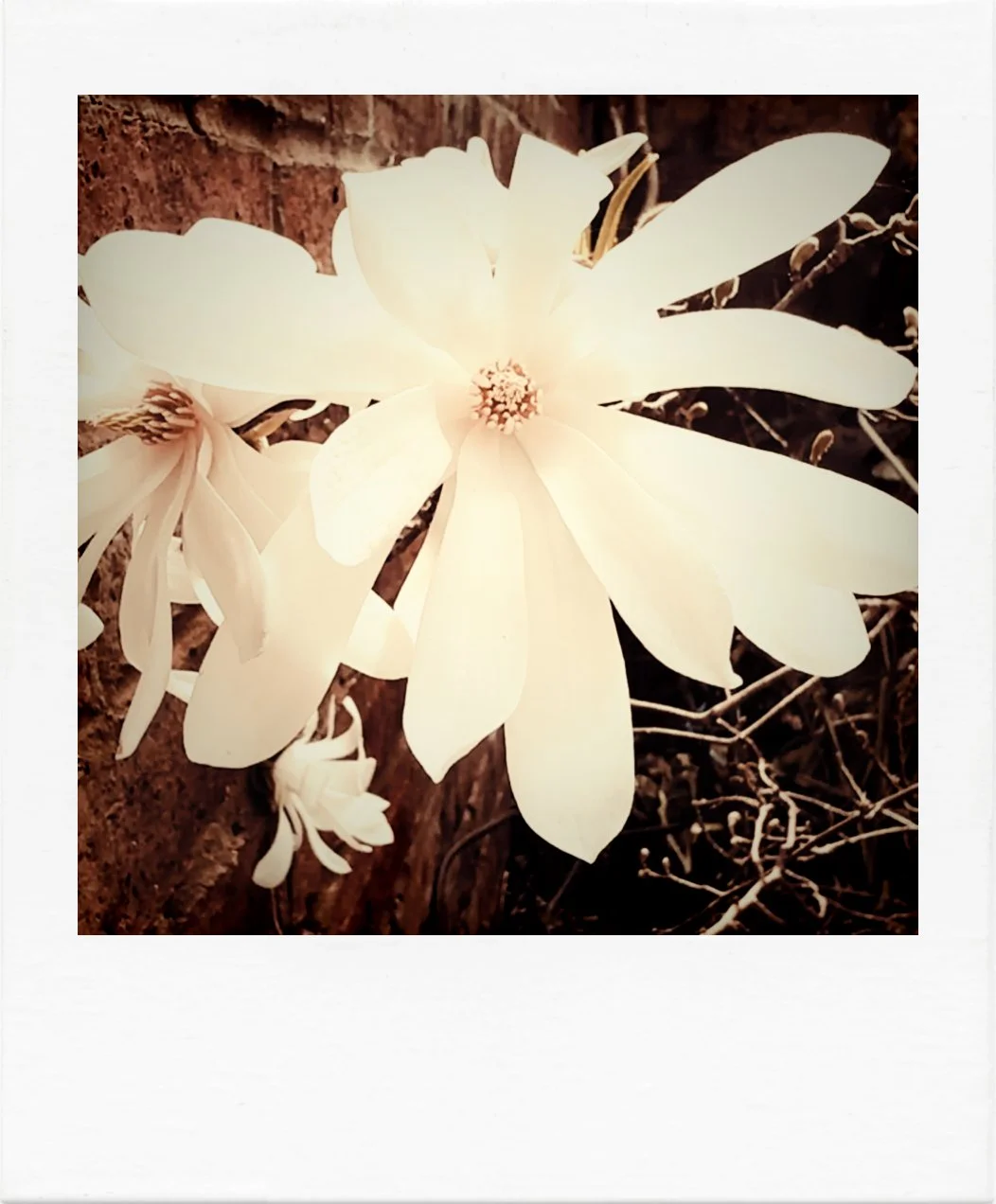 The Dark Night of the Soul. Trauma doesn’t always make you stronger.