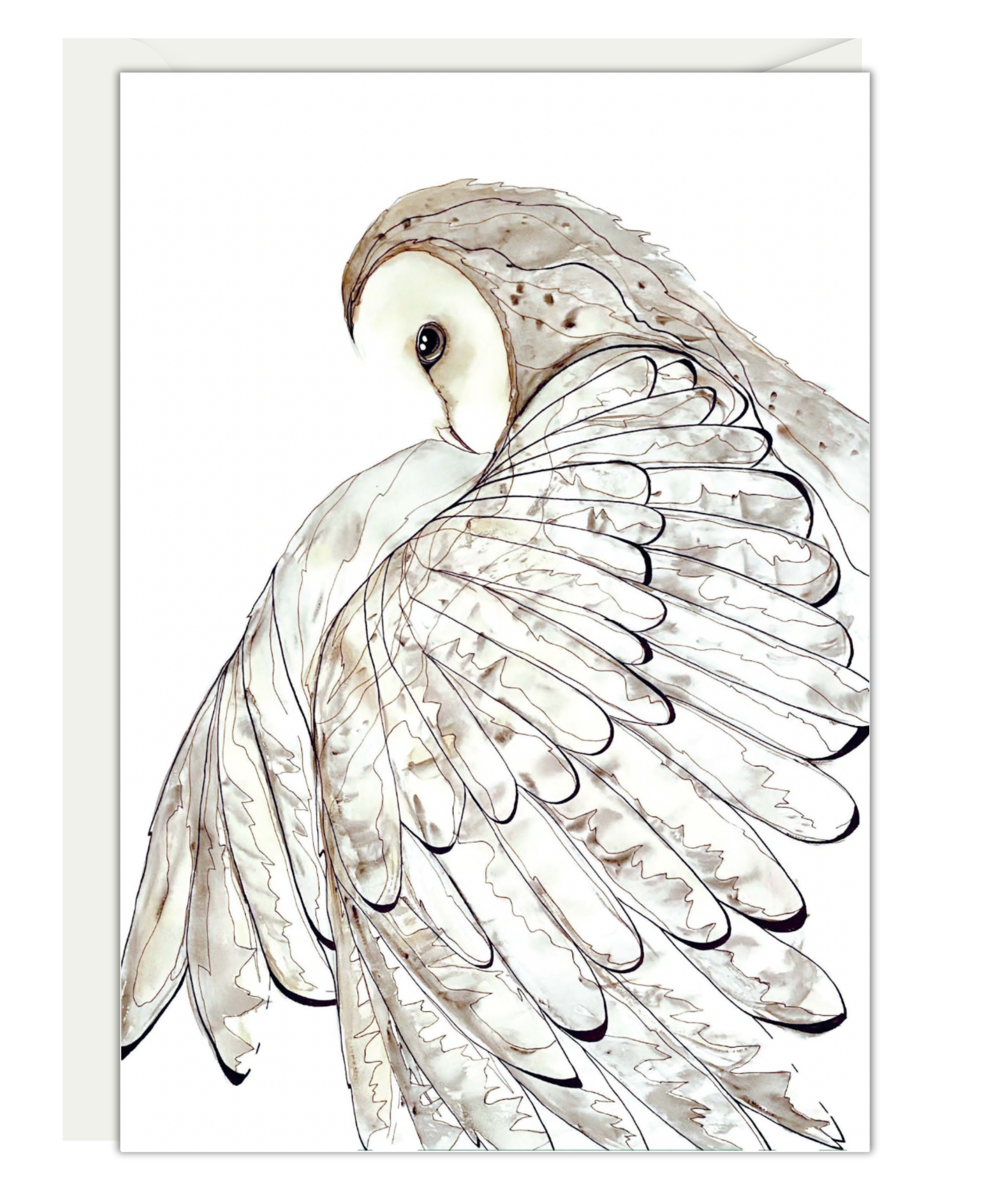 Morgan Padgett / Barn Owl in Flight