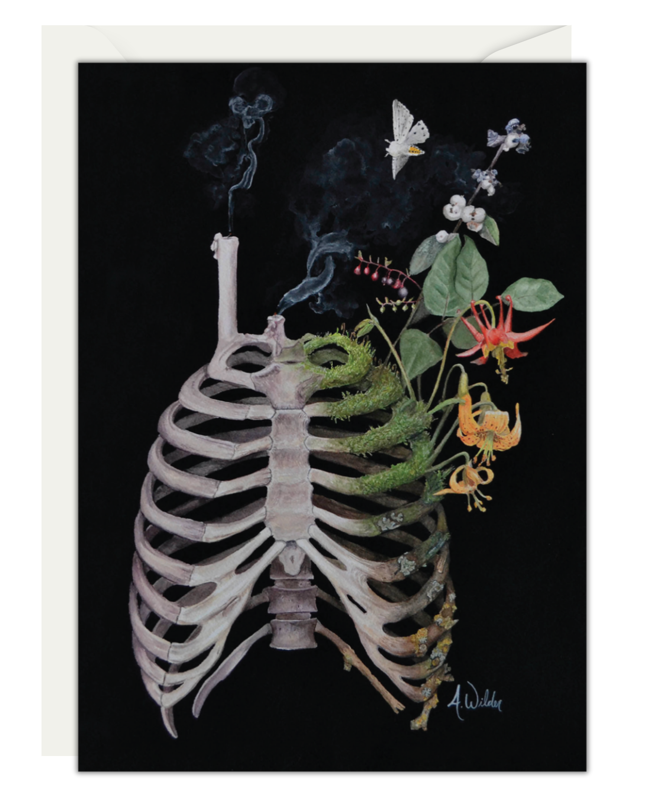 Anneke Wilder / Waterclock Secrets of the Moth
