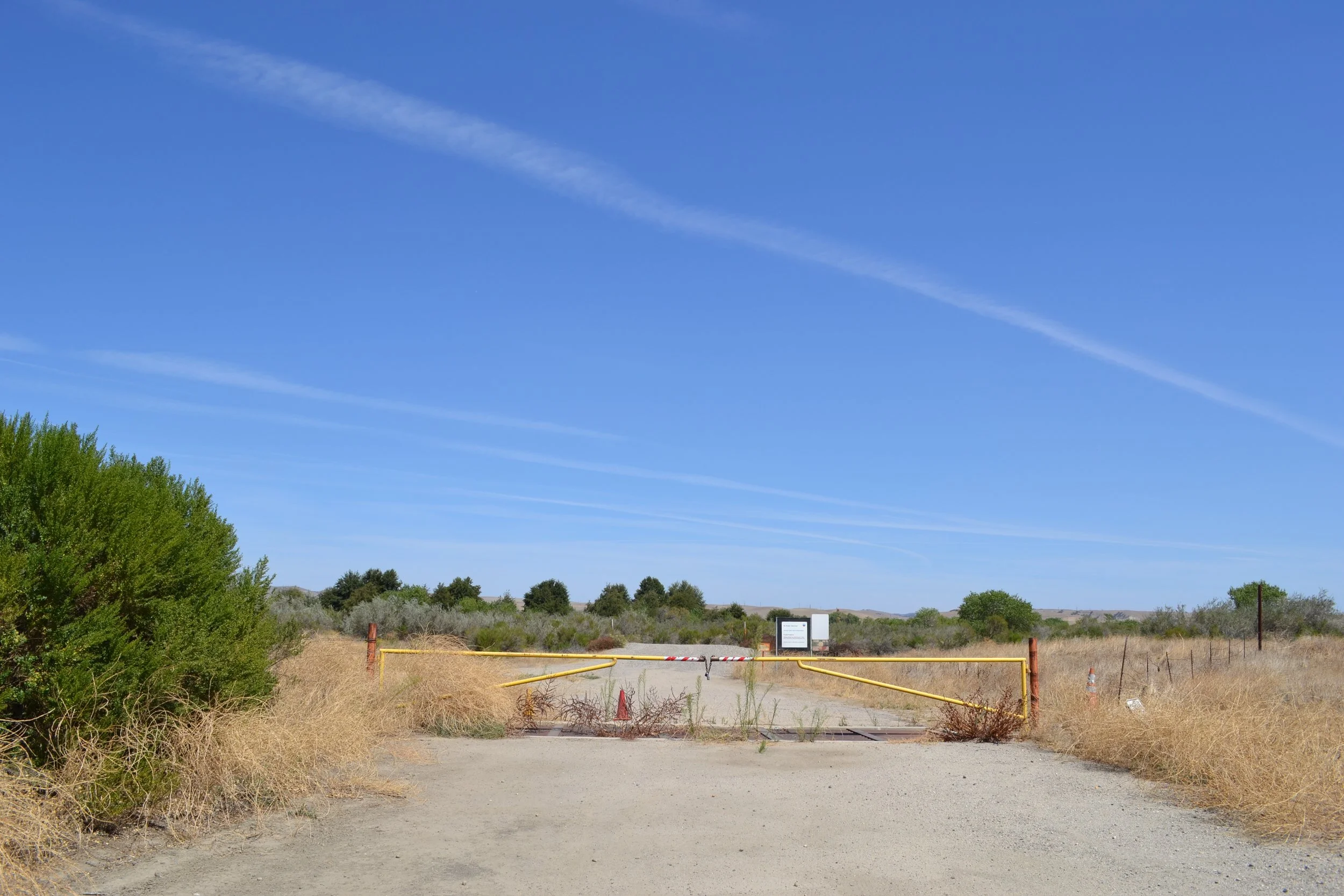 DSC_0004.jpeg