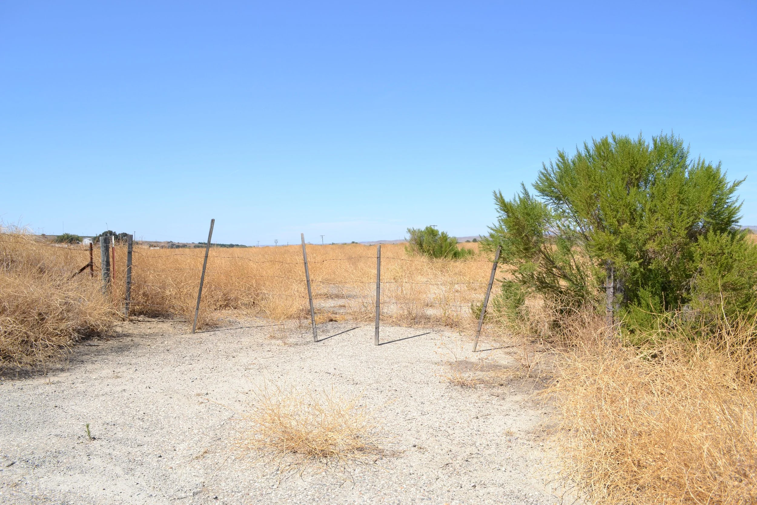 DSC_0003.jpeg
