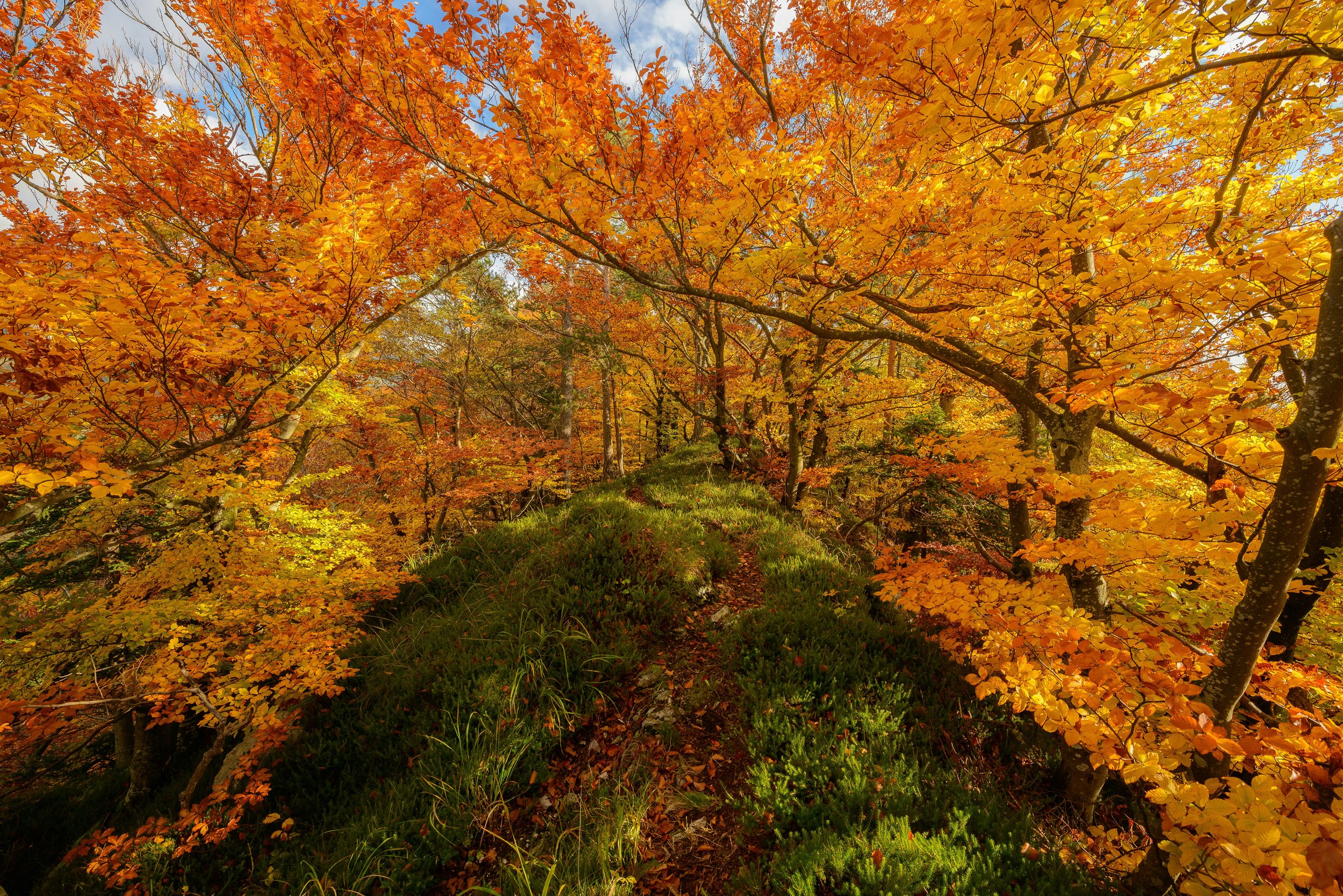 Northwoods Regional Formation Day