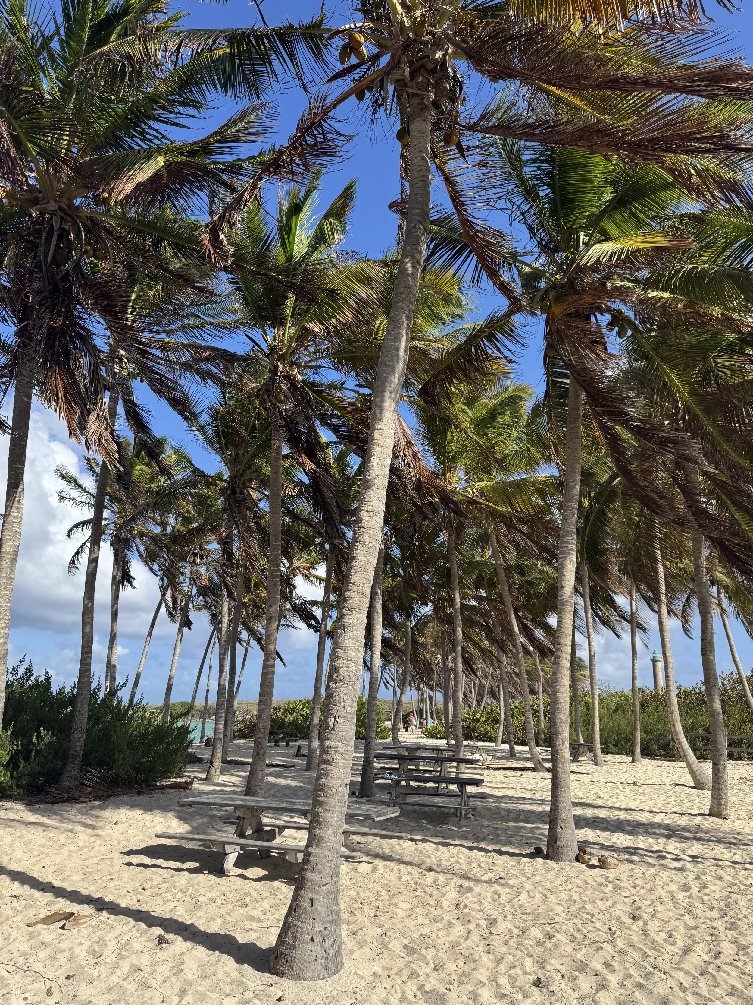 6 choses à savoir avant de partir en Guadeloupe